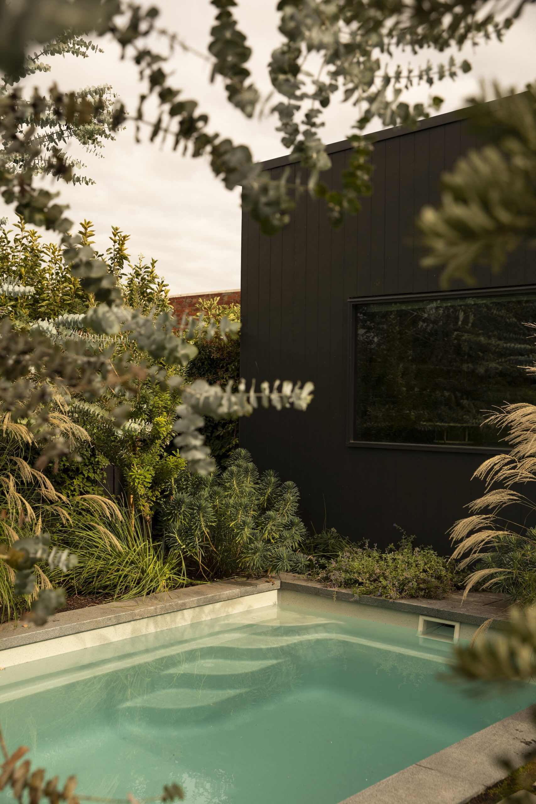 Andy Murray Landscape Design X Sage Journal - Preston