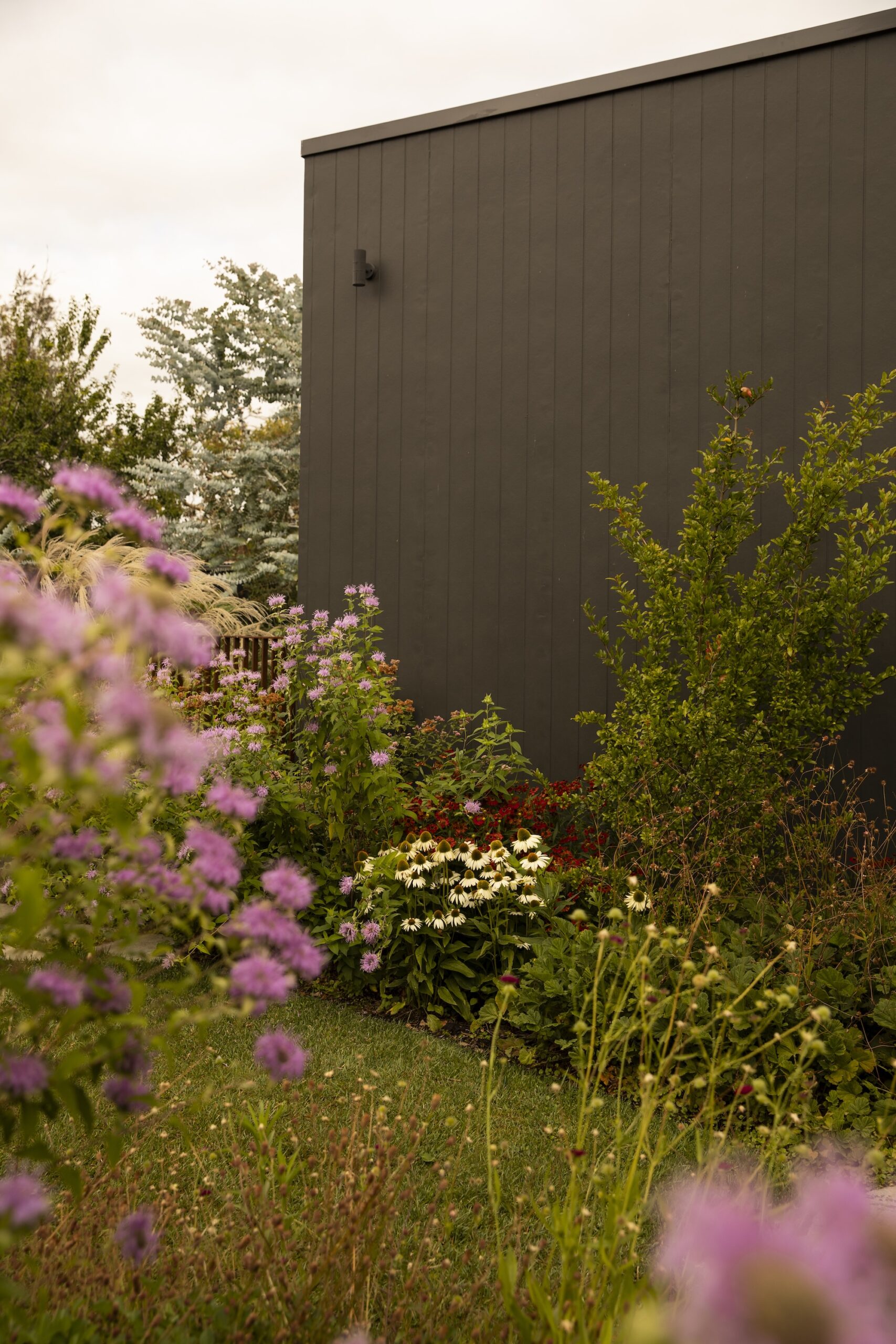 Andy Murray Landscape Design X Sage Journal - Preston
