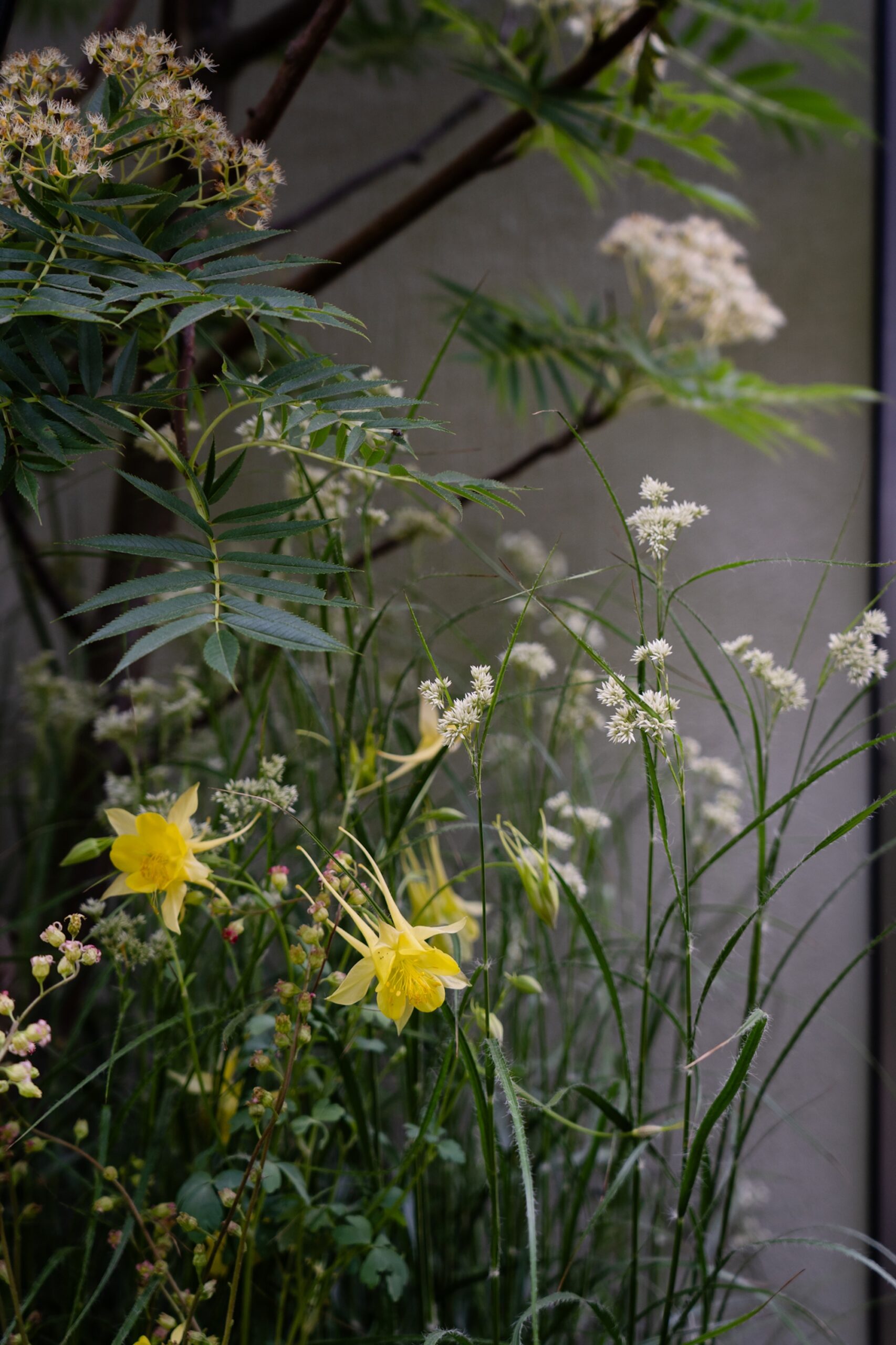 Soft yellow flowers against a muted green background