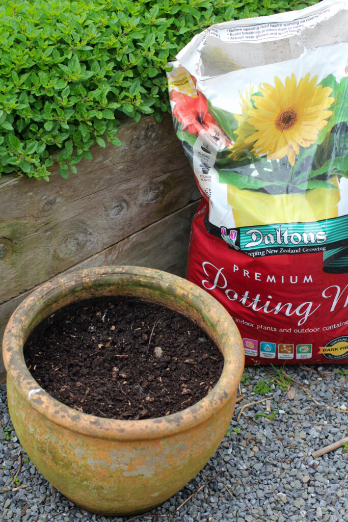 Potting Mix is very free draining and should be used for pots only, not raised beds.