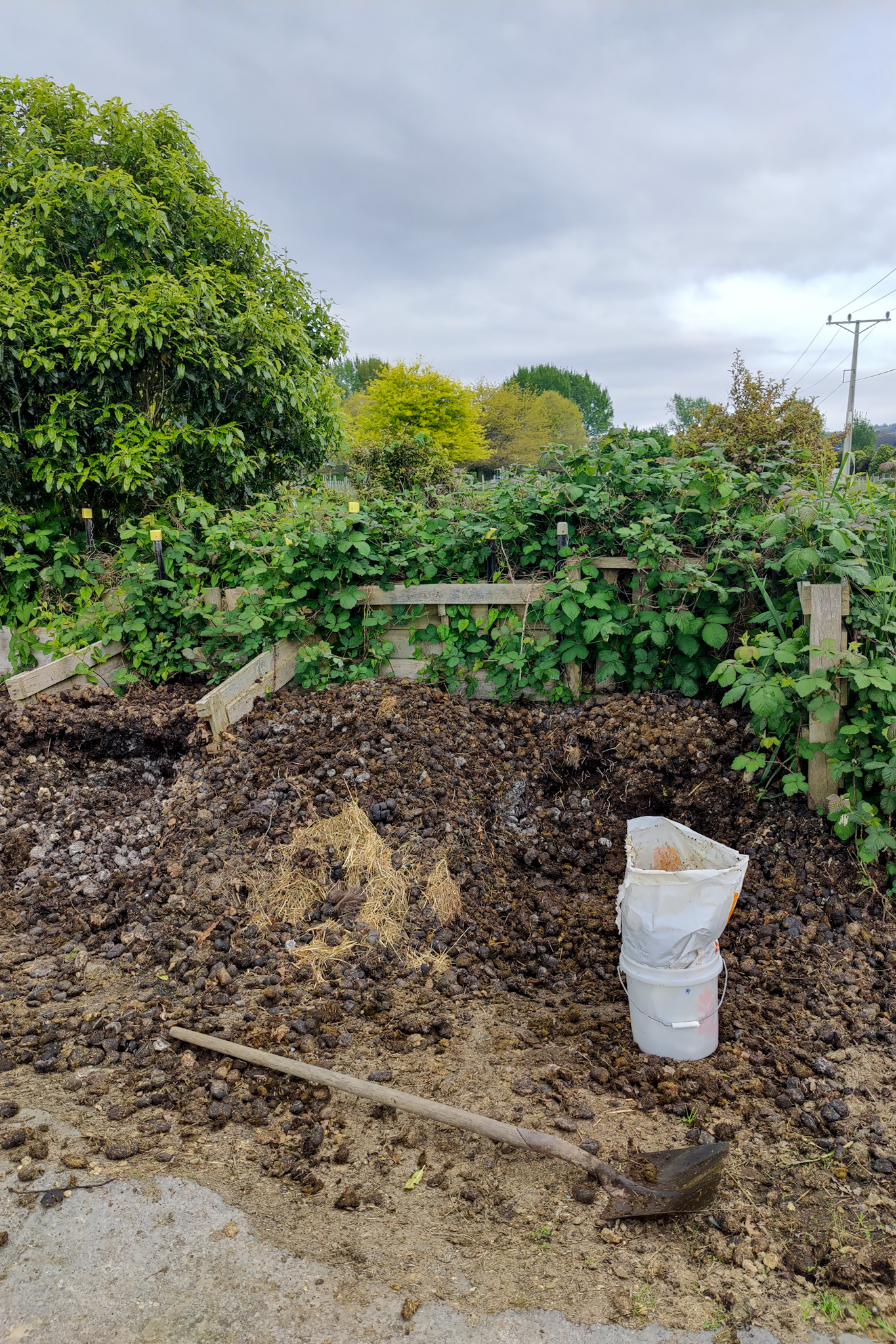 animal manure will add organic matter to sandy soils.