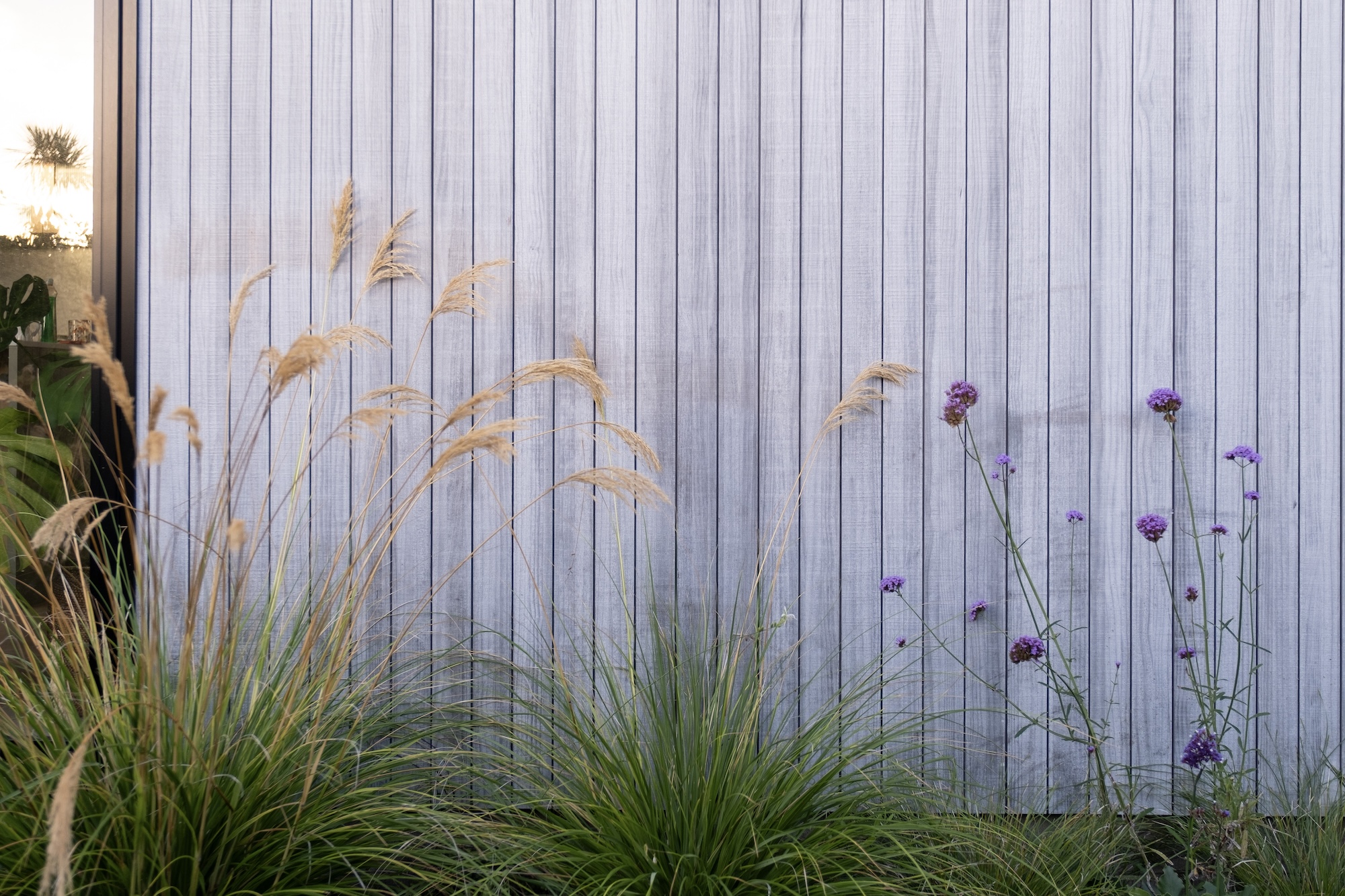 Grasses and flowering plants against a vertical wooden fence
