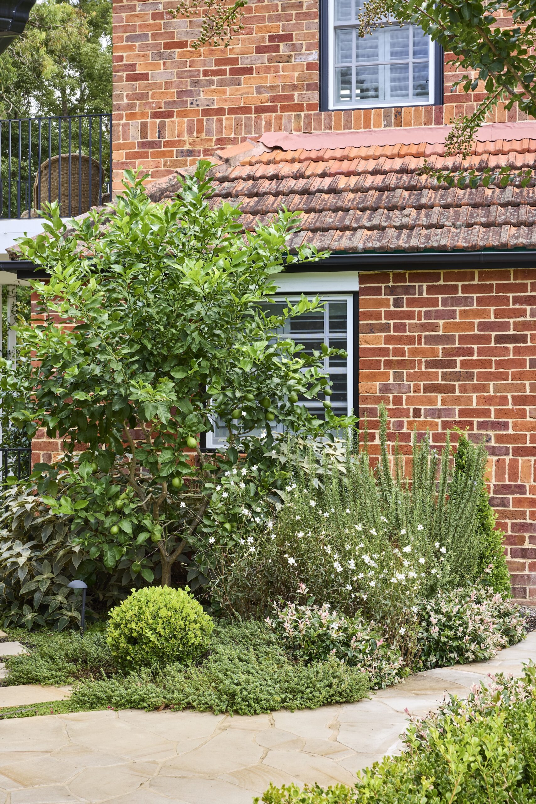 Nelson Thomas X Sage Journal - Gordon Project Nelson Thomas X Sage Journal - Gordon Project