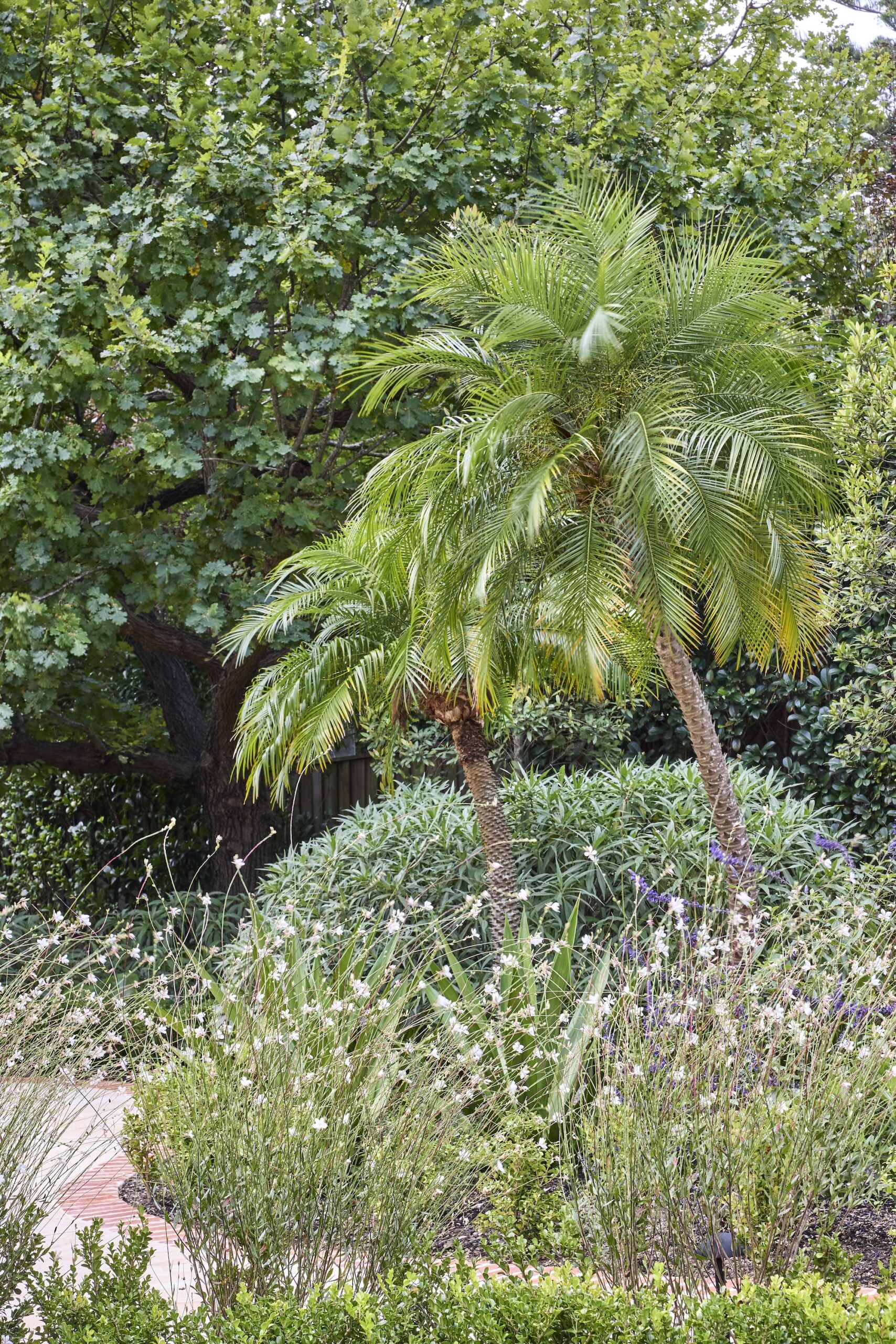 Nelson Thomas X Sage Journal - Gordon Project Nelson Thomas X Sage Journal - Gordon Project