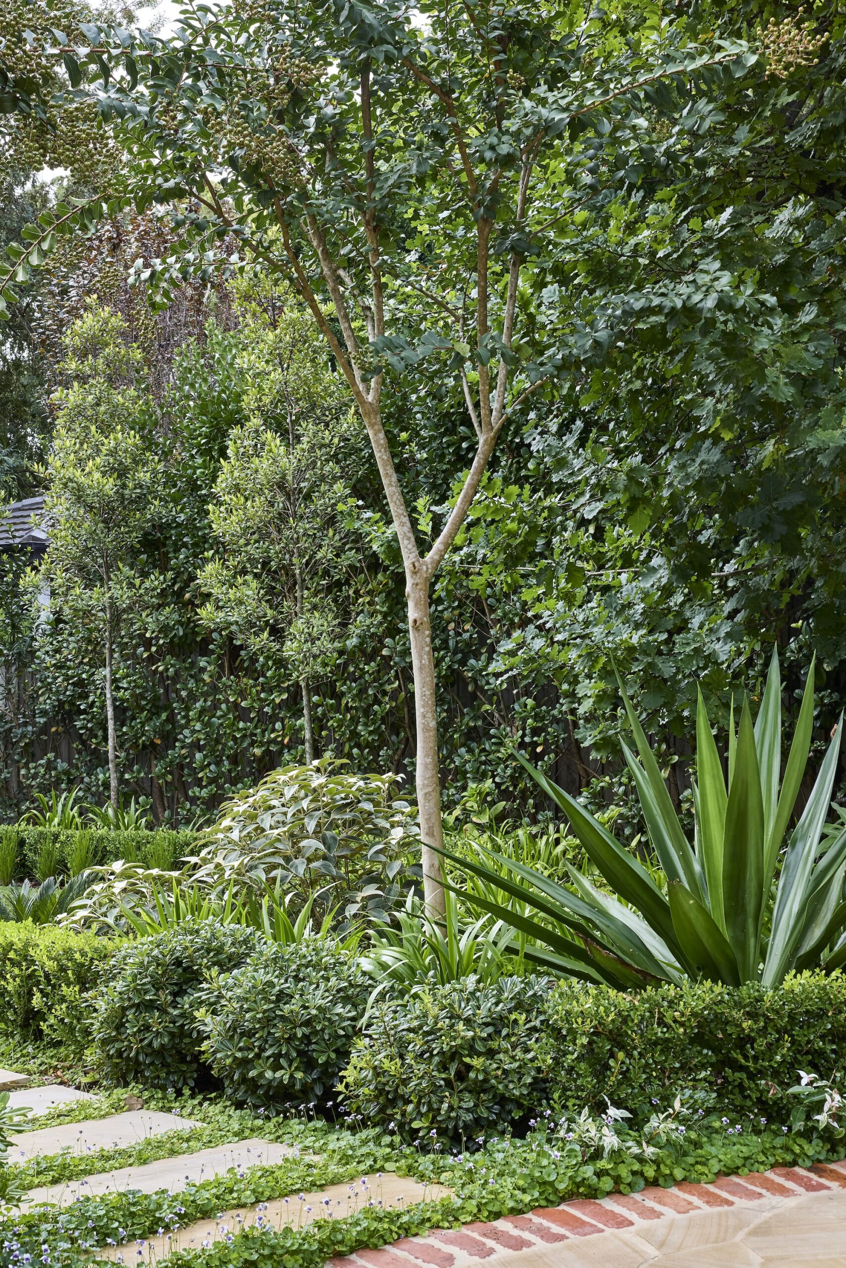 Nelson Thomas X Sage Journal - Gordon Project Nelson Thomas X Sage Journal - Gordon Project