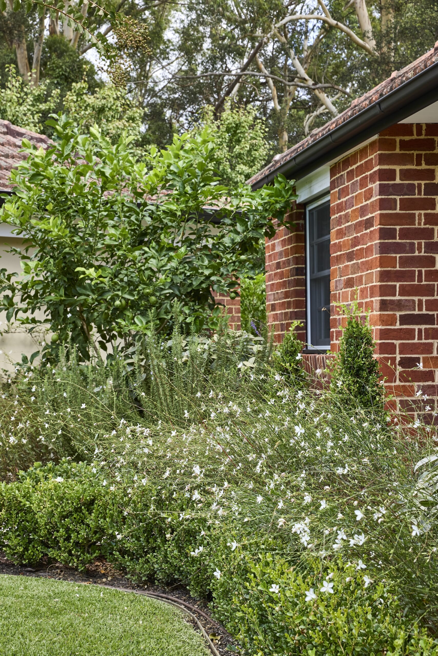 Nelson Thomas X Sage Journal - Gordon Project Nelson Thomas X Sage Journal - Gordon Project