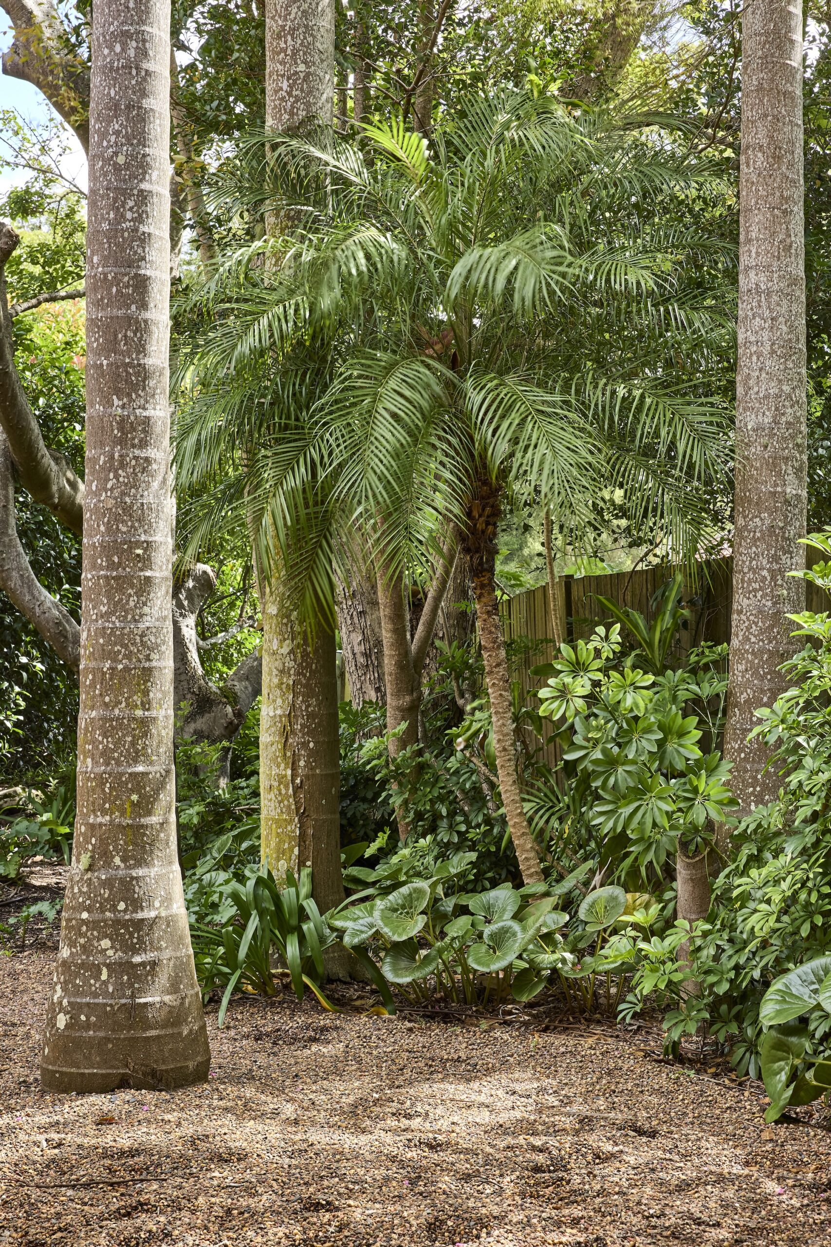 Nelson Thomas X Sage Journal - Gordon Project Nelson Thomas X Sage Journal - Gordon Project