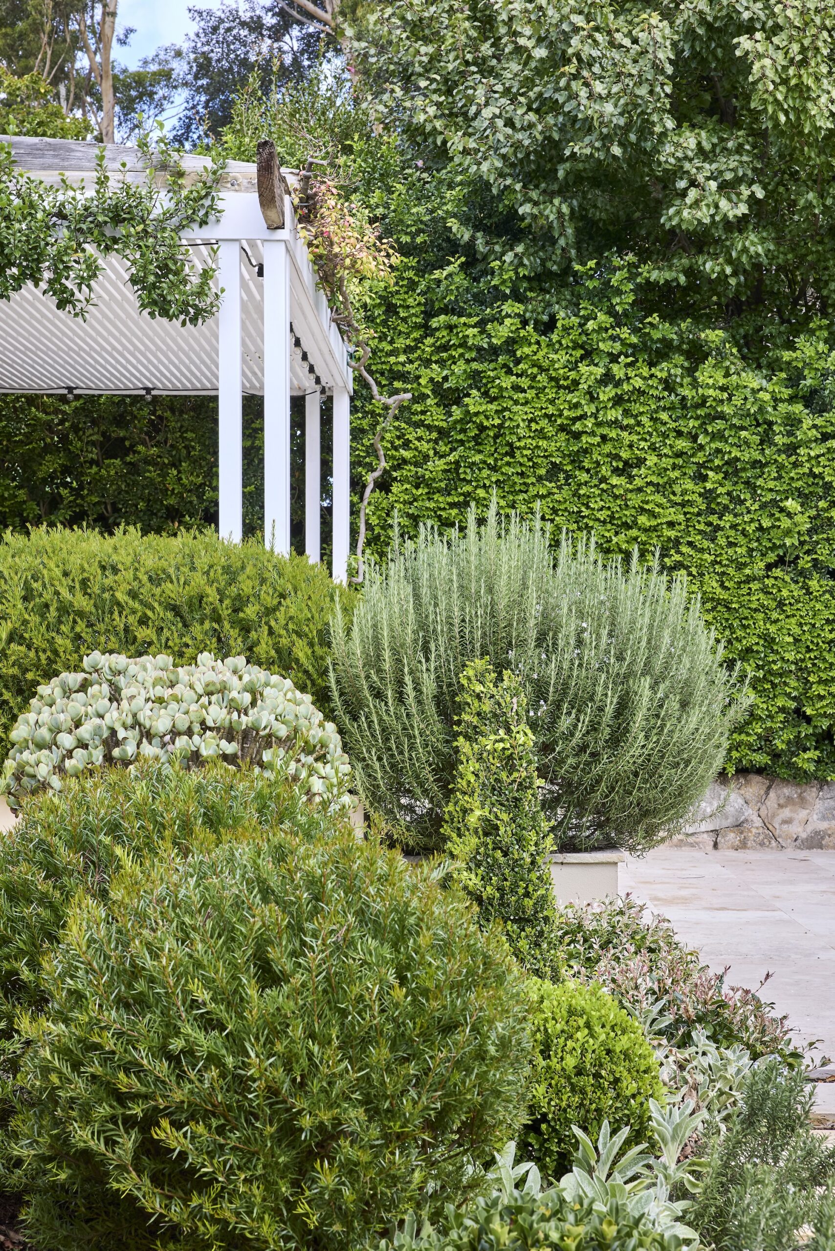 Nelson Thomas X Sage Journal - Gordon Project Nelson Thomas X Sage Journal - Gordon Project