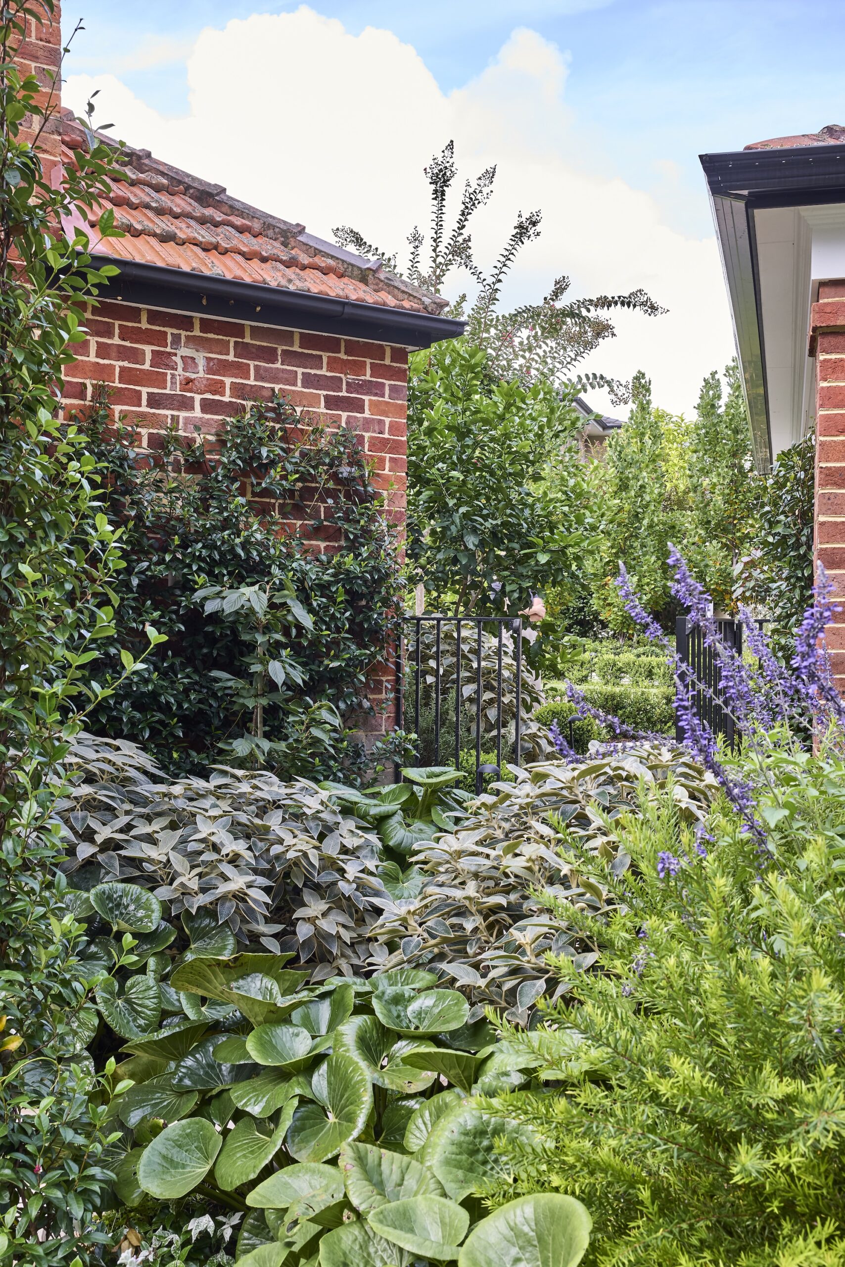 Nelson Thomas X Sage Journal - Gordon Project Nelson Thomas X Sage Journal - Gordon Project