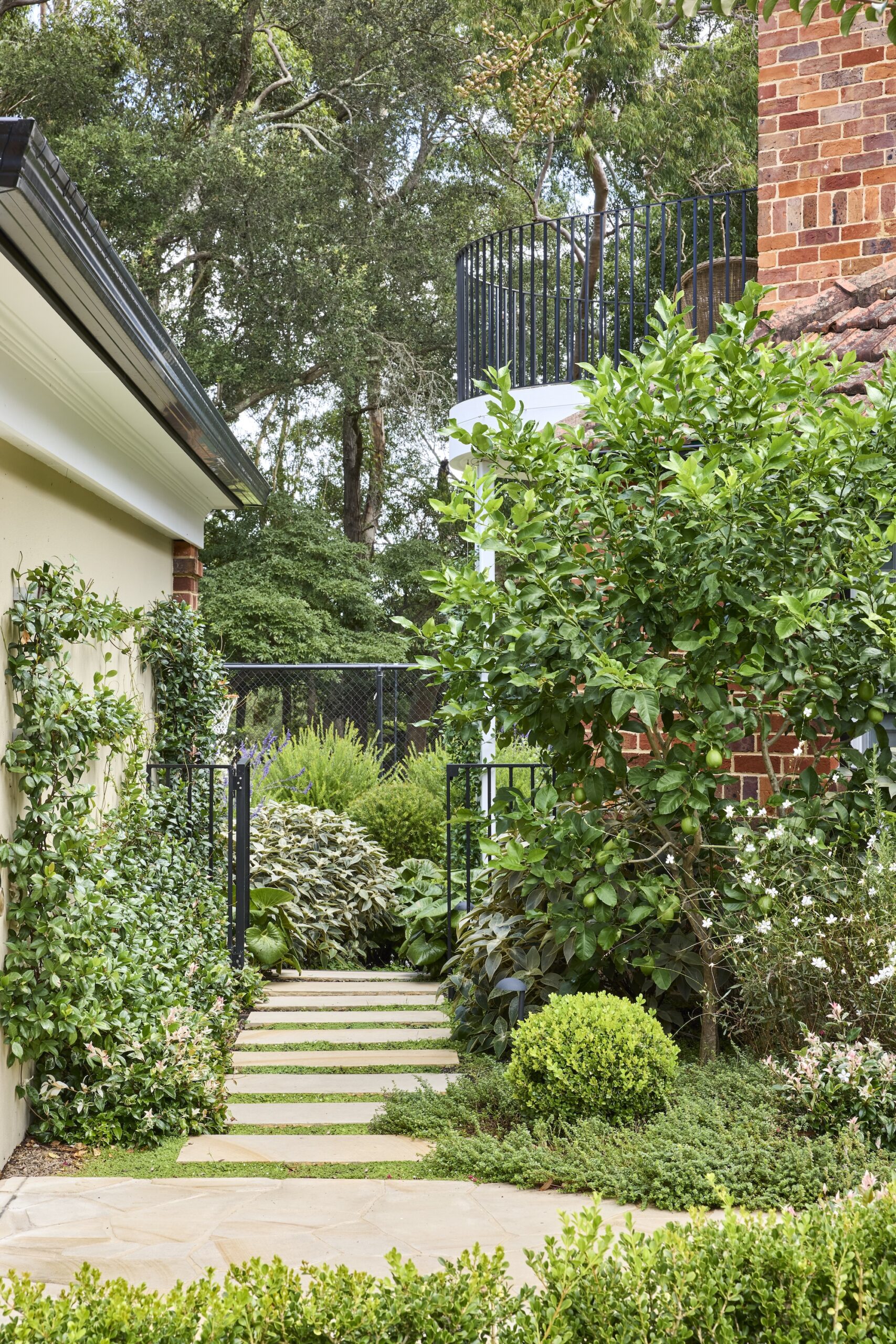 Nelson Thomas X Sage Journal - Gordon Project Nelson Thomas X Sage Journal - Gordon Project