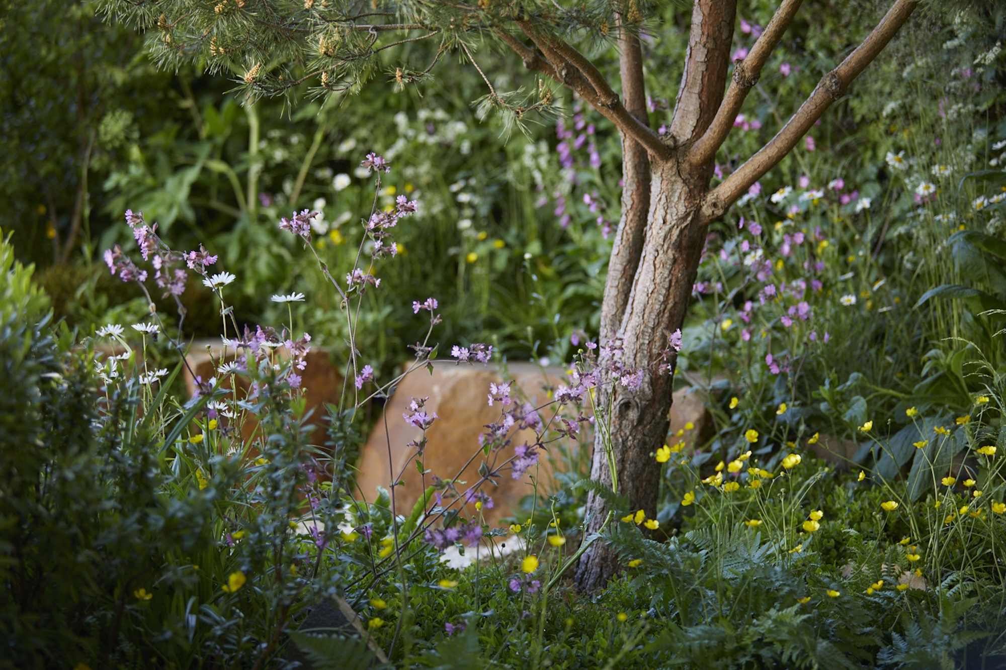 IMG_0302 PGB 2025 © Britt Willoughby