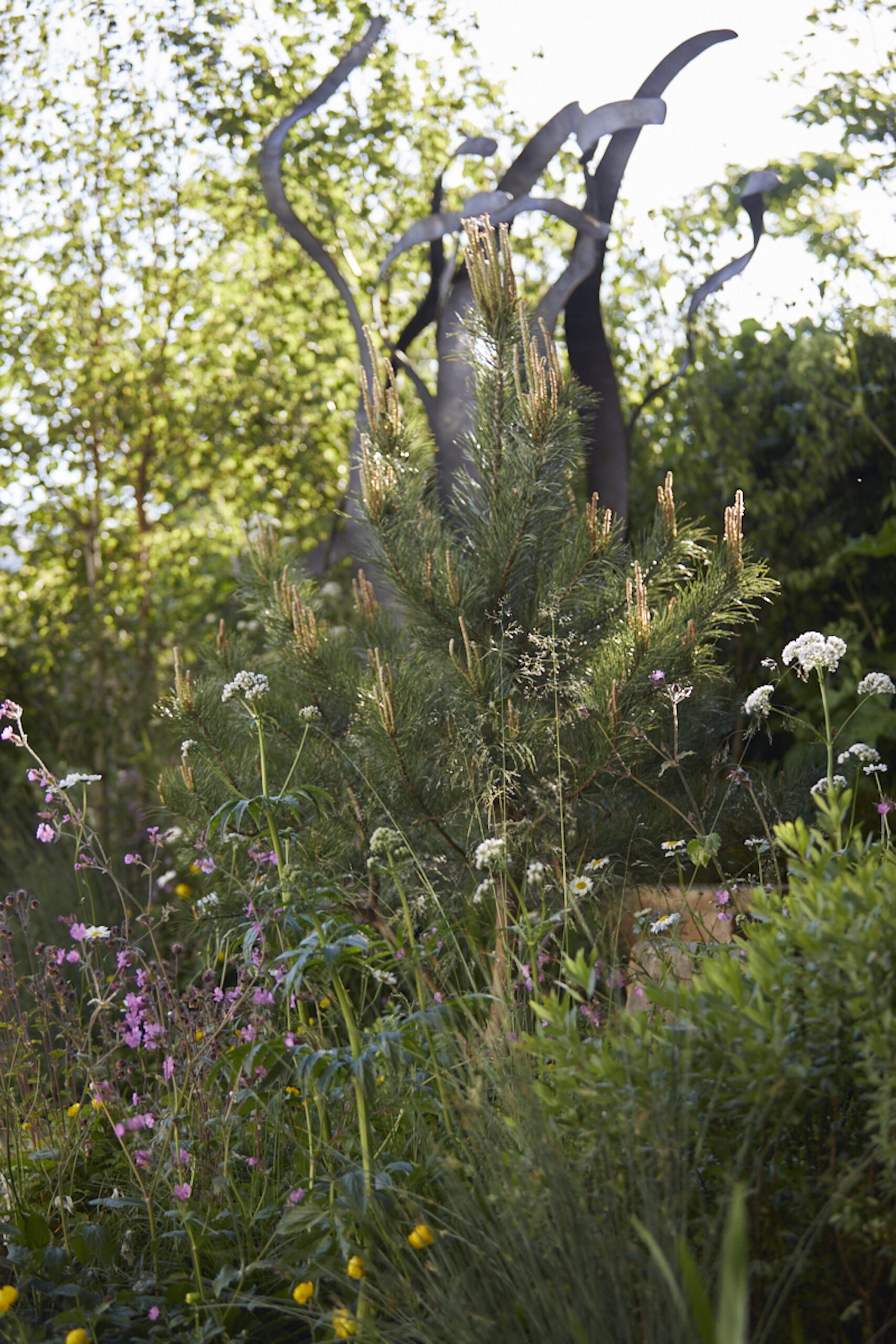 IMG_0304 PGB 2025 © Britt Willoughby