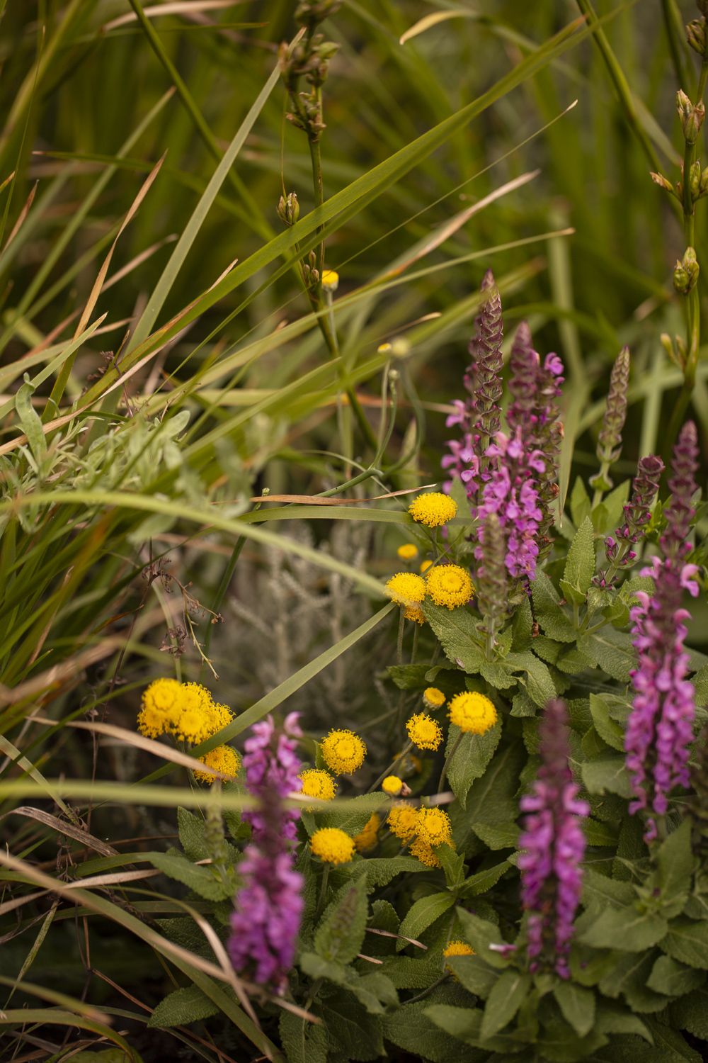 Miniscapes_8025_Gemmola_LR