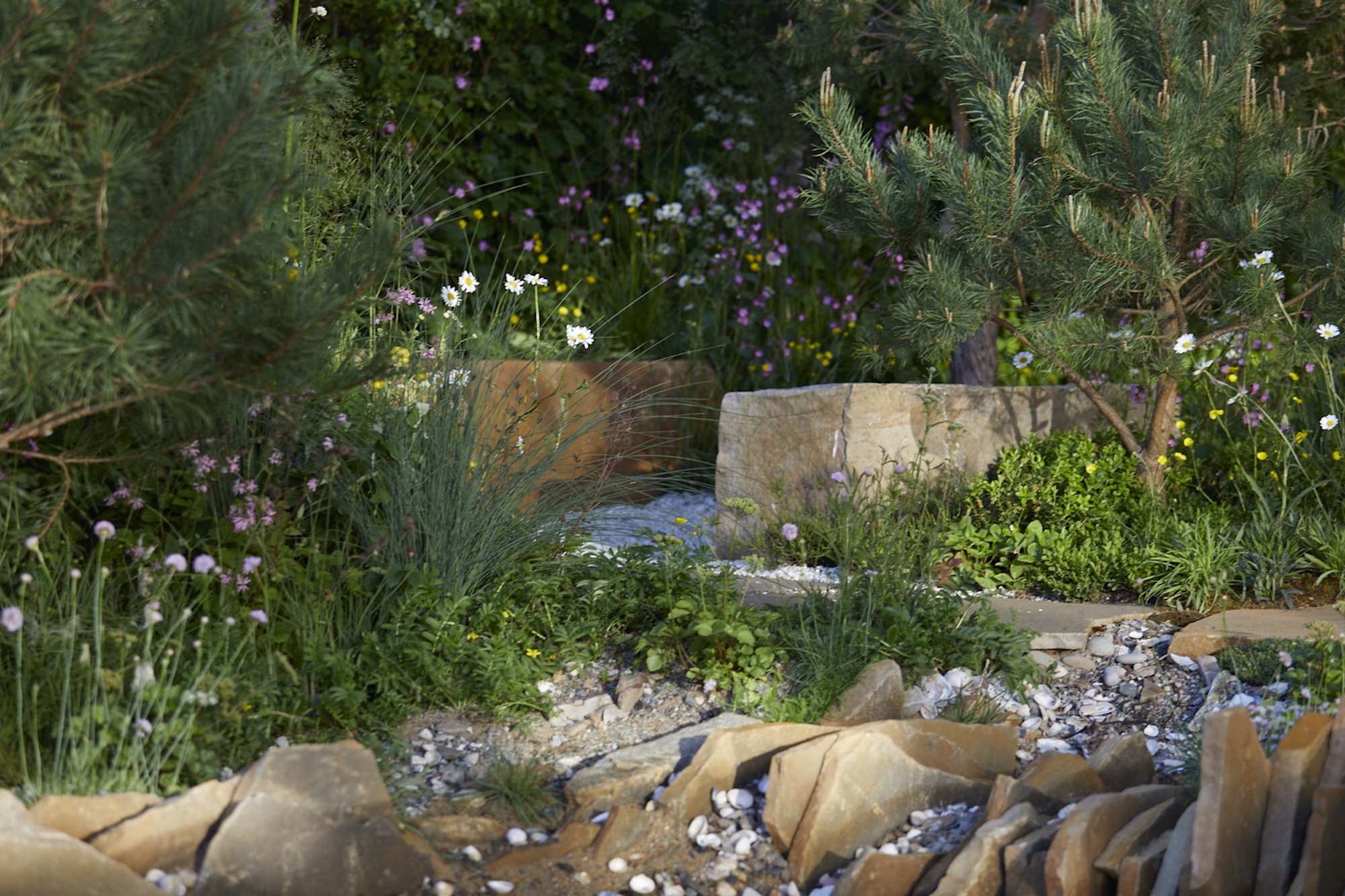 Seawilding-IMG_0342 PGB 2025 © Britt Willoughby