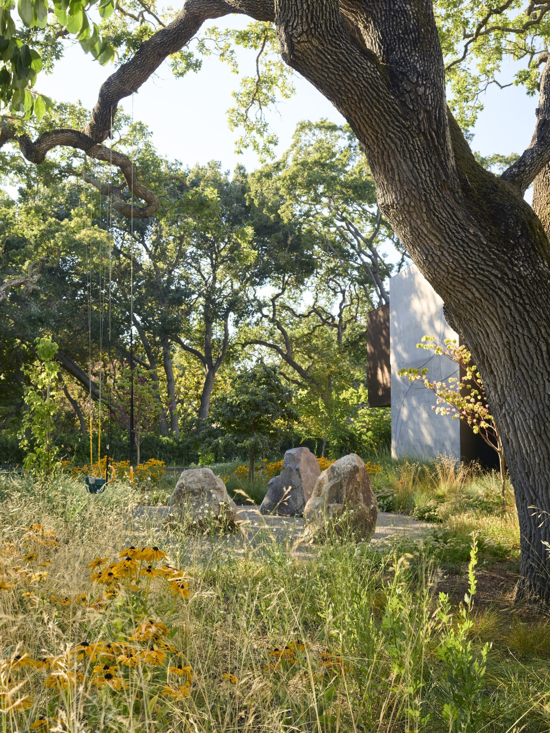 Native meadow garden with sculptural rocks and shaded canopy Open lawn with boulders and wildflowers beneath mature trees