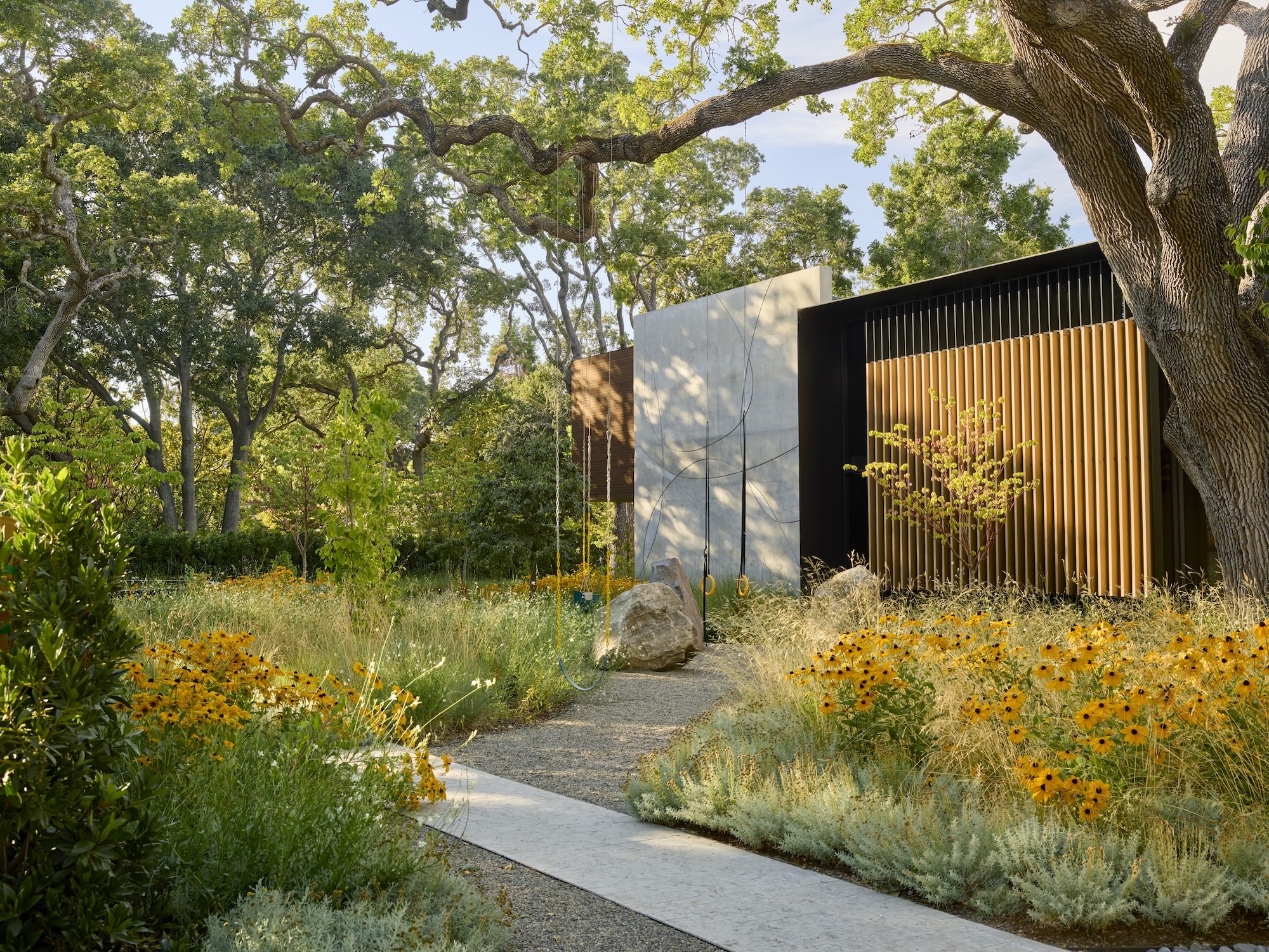 Modern garden with golden wildflowers and stone pathway