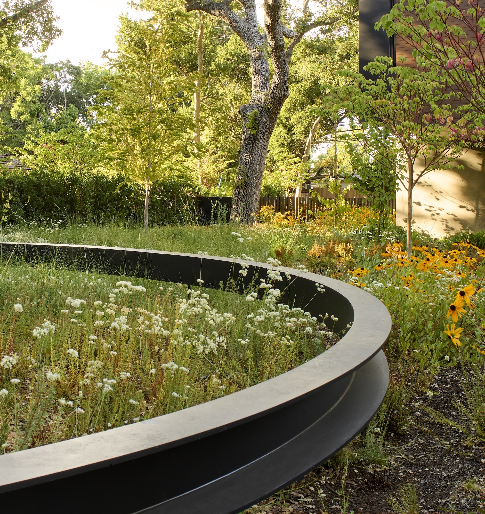 Reflective pond and meadow garden in contemporary landscape design Circular water feature with floating meadow plants
