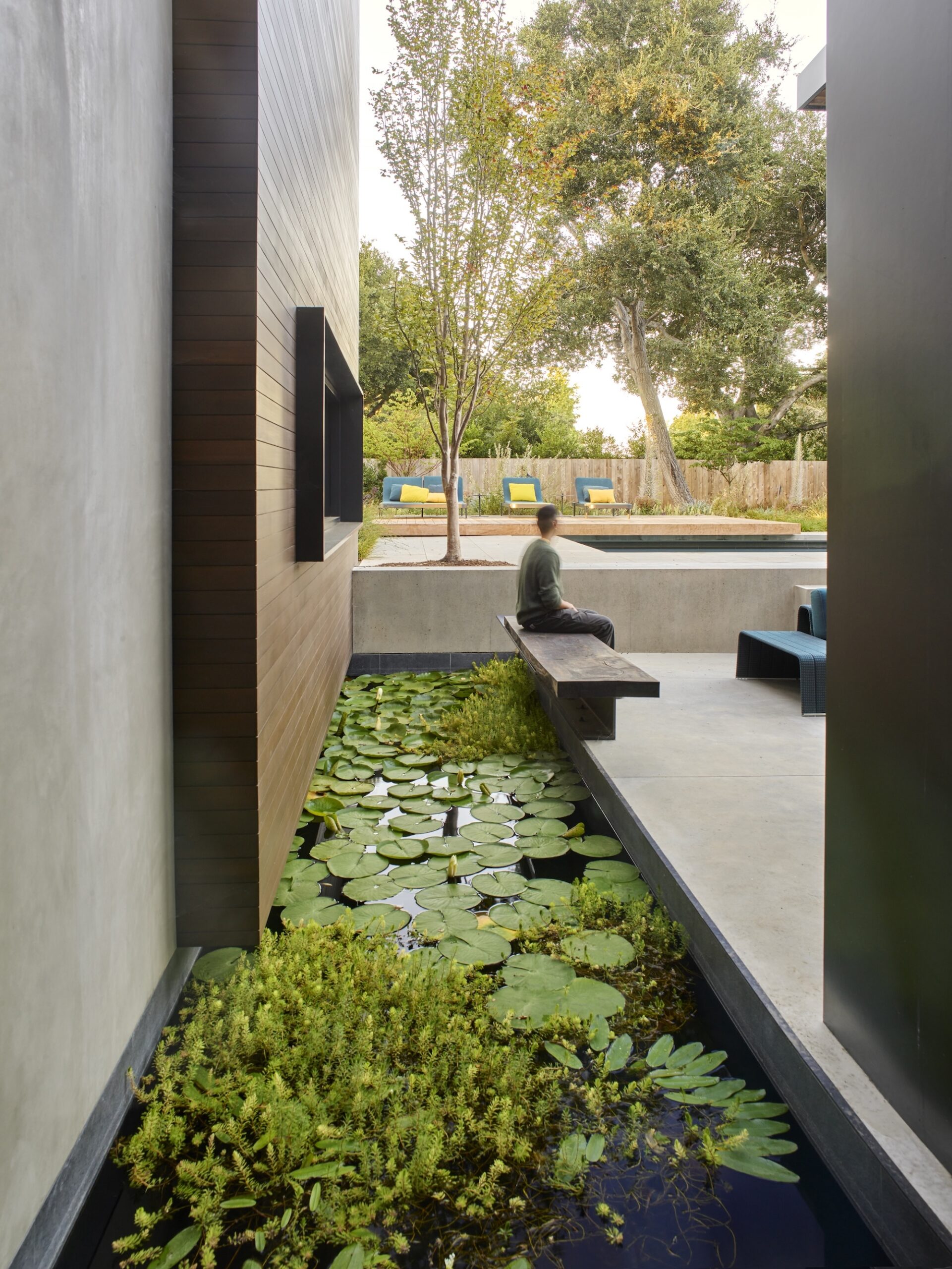 Water garden with lilies beside modern home façade Contemporary pond garden with water lilies and seating
