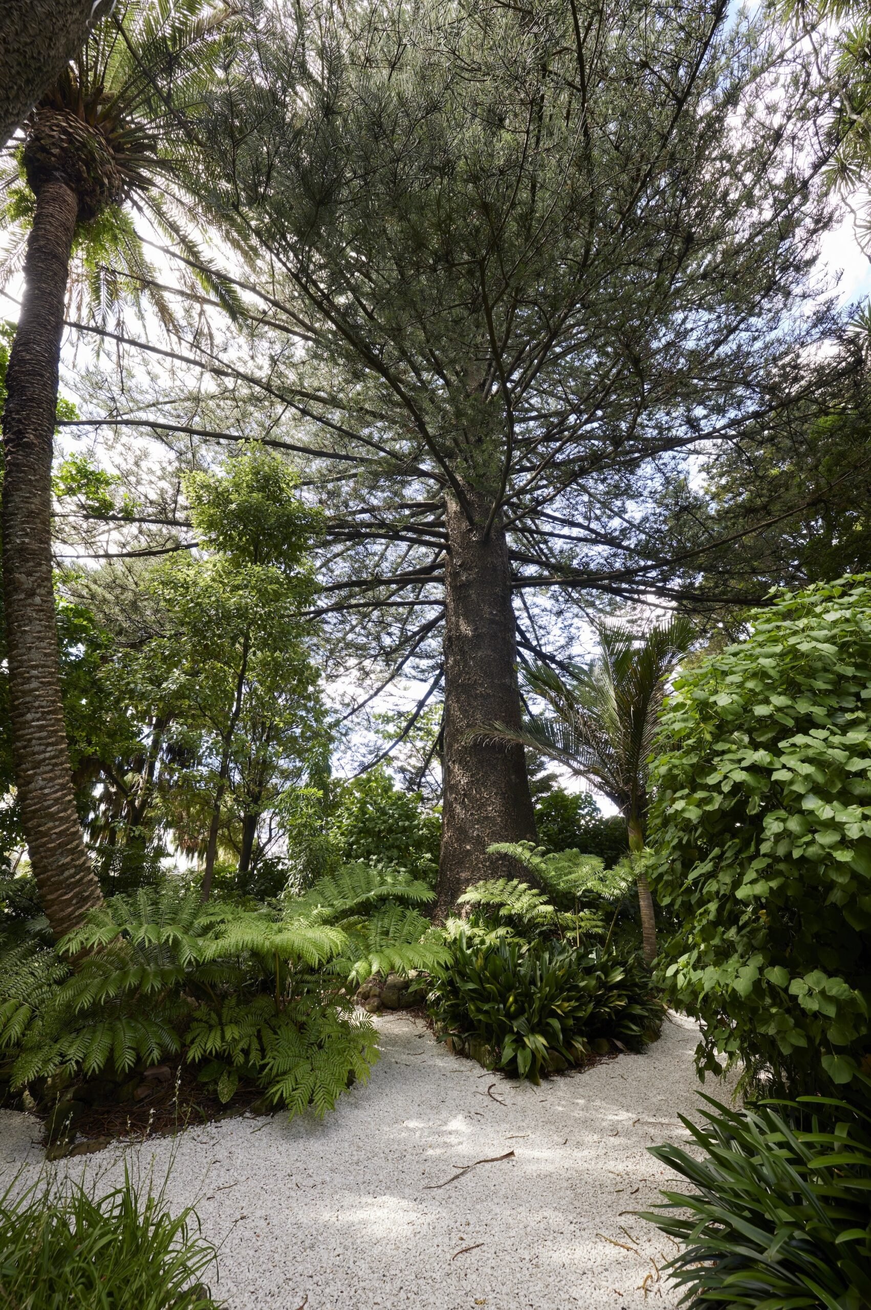 Serene garden pathway surrounded by tall trees and lush greenery in a historic estate.