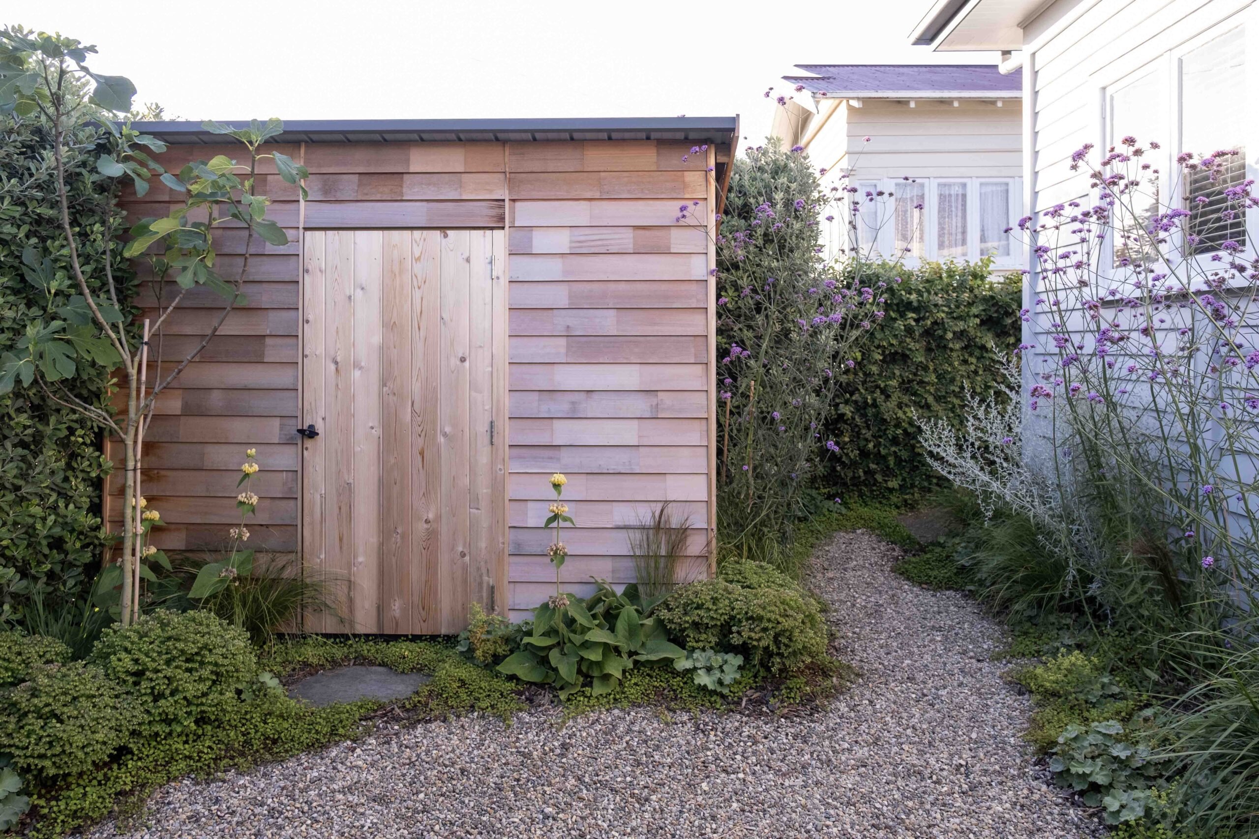 Timber shed framed by natural planting and gravel garden path – Neville Design Studio.