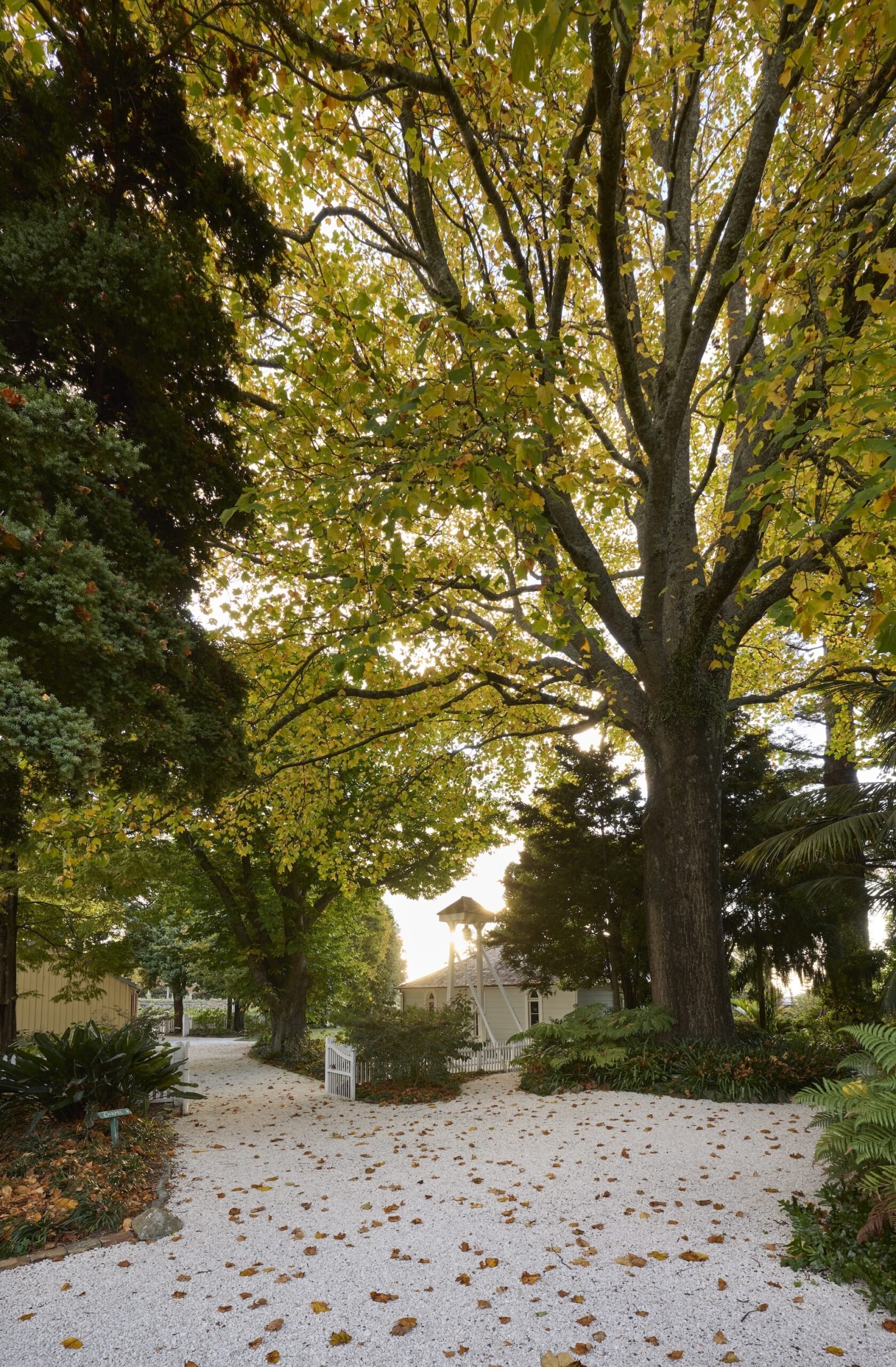 Pathway lined with golden autumn leaves in a historic estate garden.