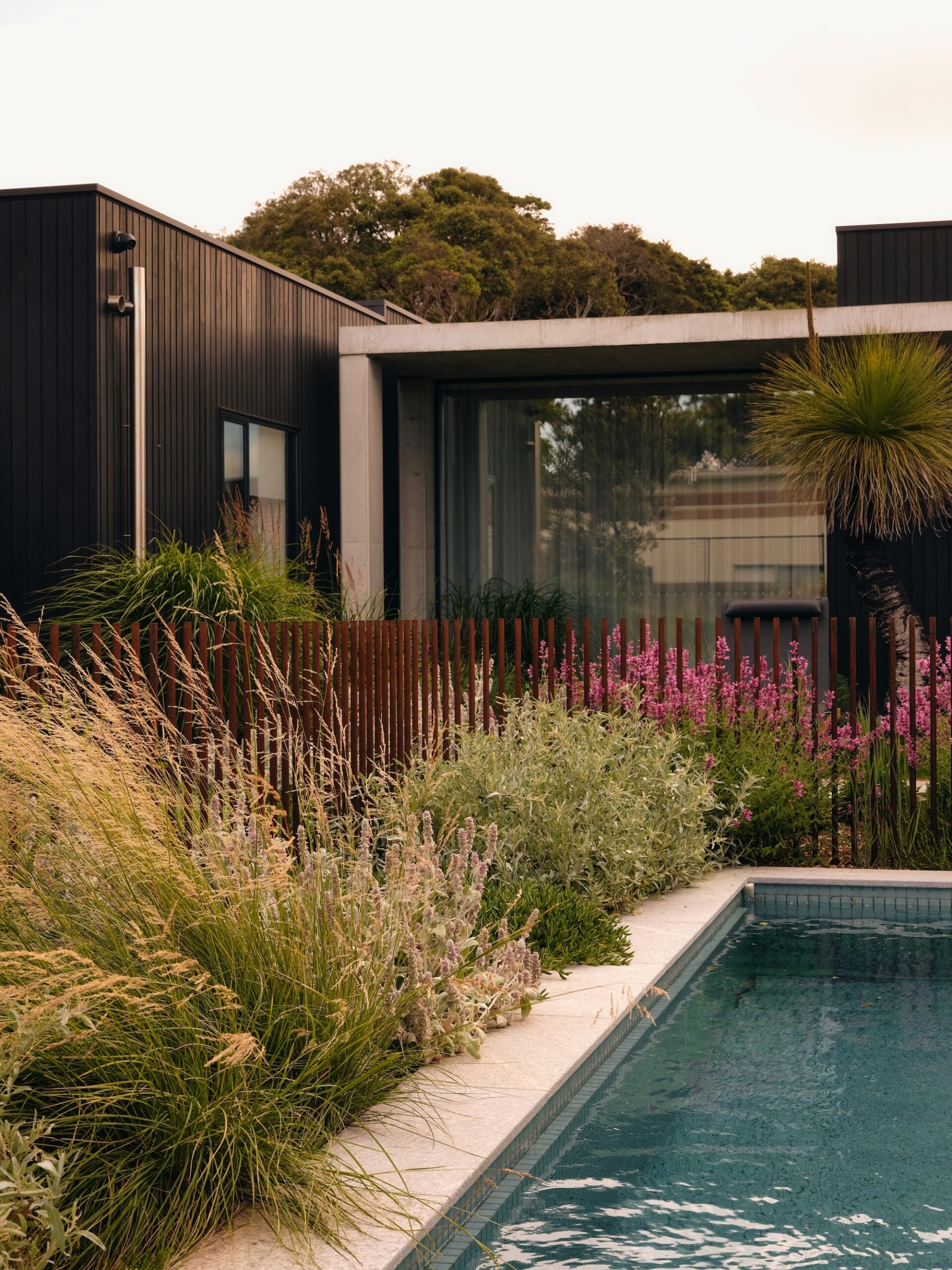 Contemporary house and pool framed by vibrant garden planting – Phillip Withers