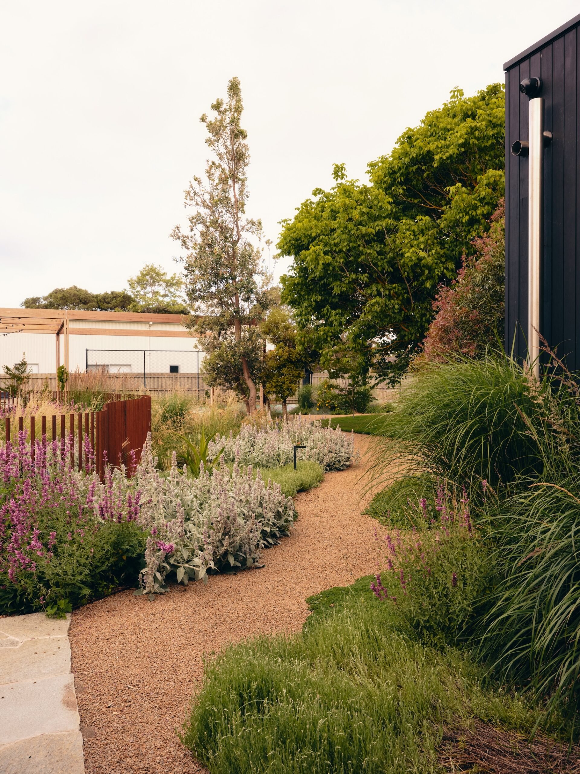 Curved gravel garden pathway surrounded by colourful native and perennial plants – Phillip Withers