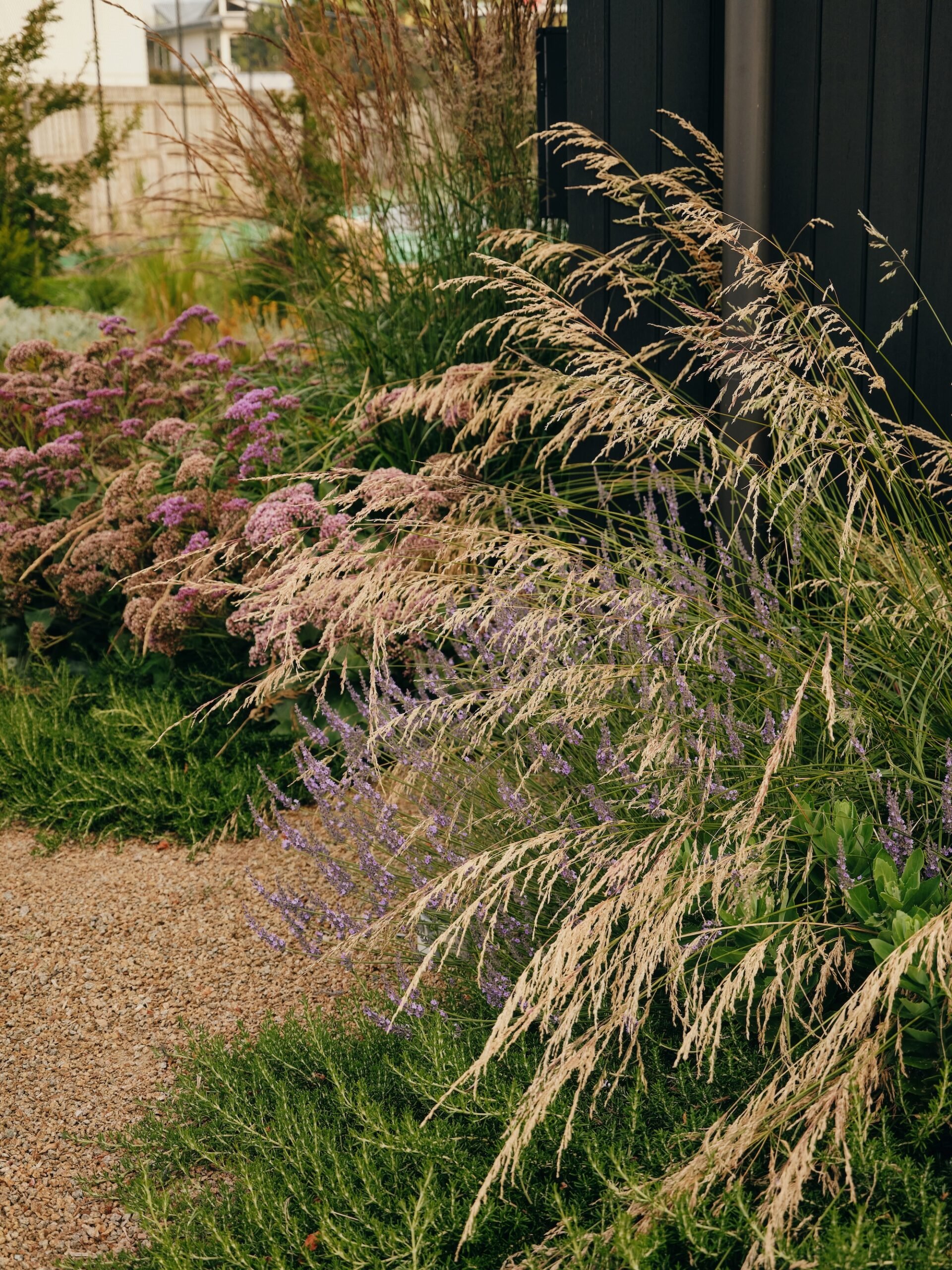 Layered planting with tall ornamental grasses and flowering perennials – Phillip Withers