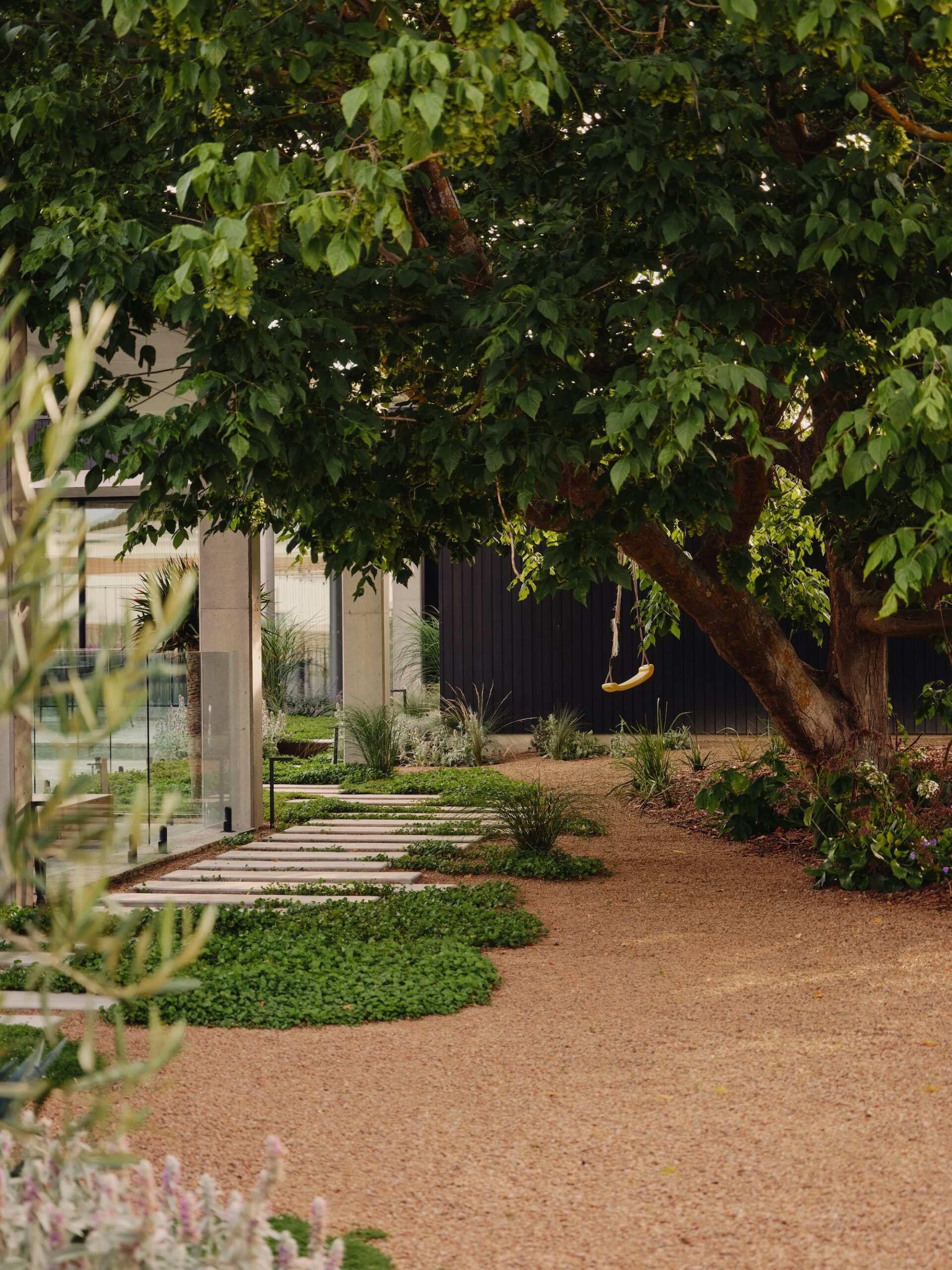 Shaded garden path under mature trees with low planting for a natural retreat – Phillip Withers