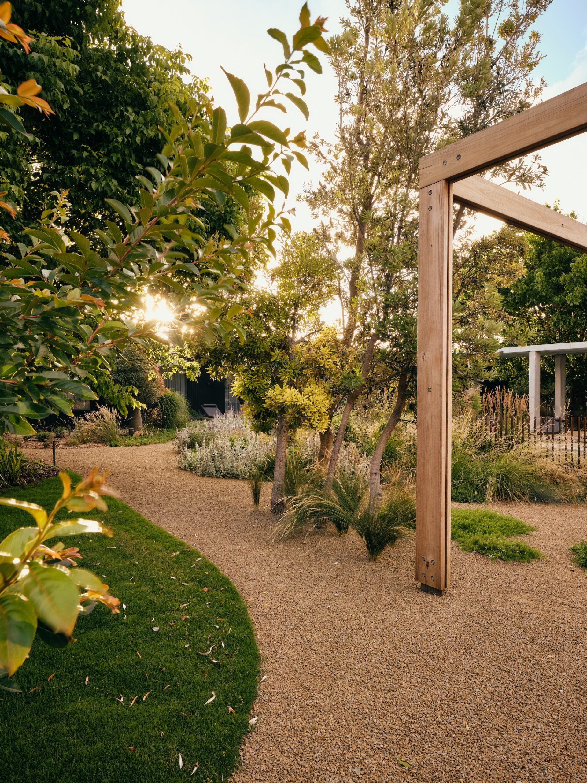 Gravel pathway through modern planting design leading to pergola – Phillip Withers