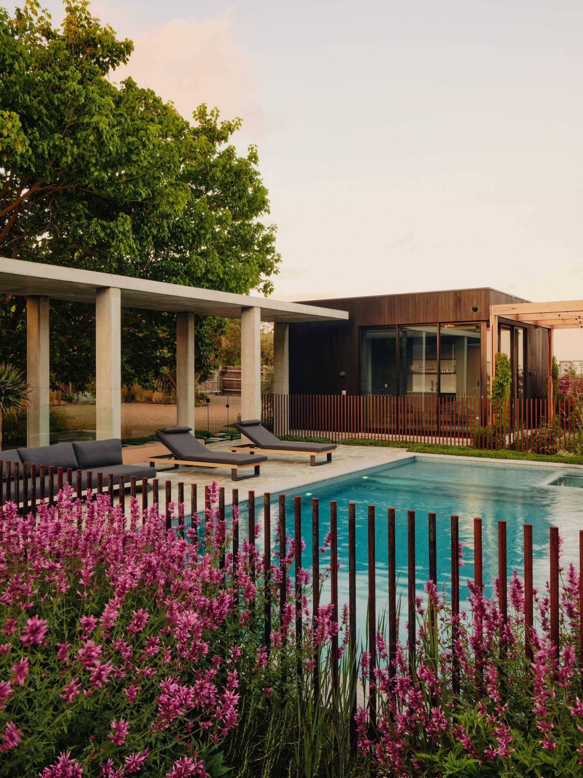 Flowering Pool Garden Landscape Vibrant poolside garden with flowering perennials, grasses, and native plants – Phillip Withers