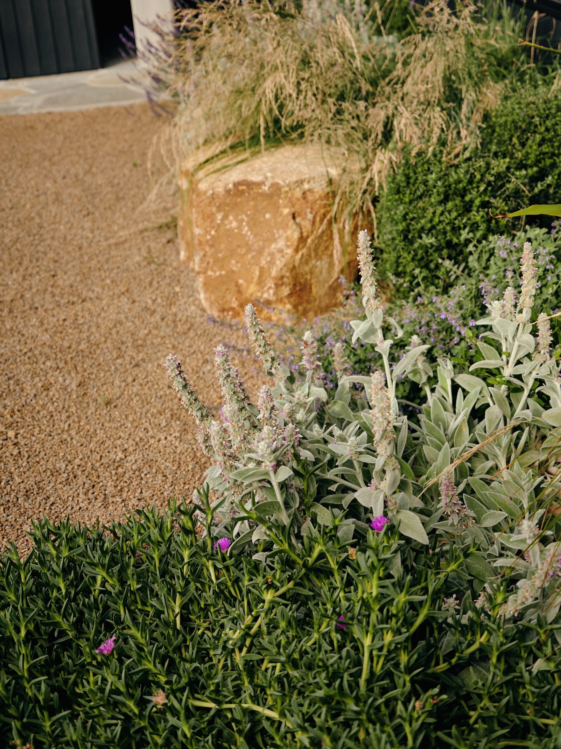 Stone landscaping feature integrated with drought-tolerant garden planting – Phillip Withers