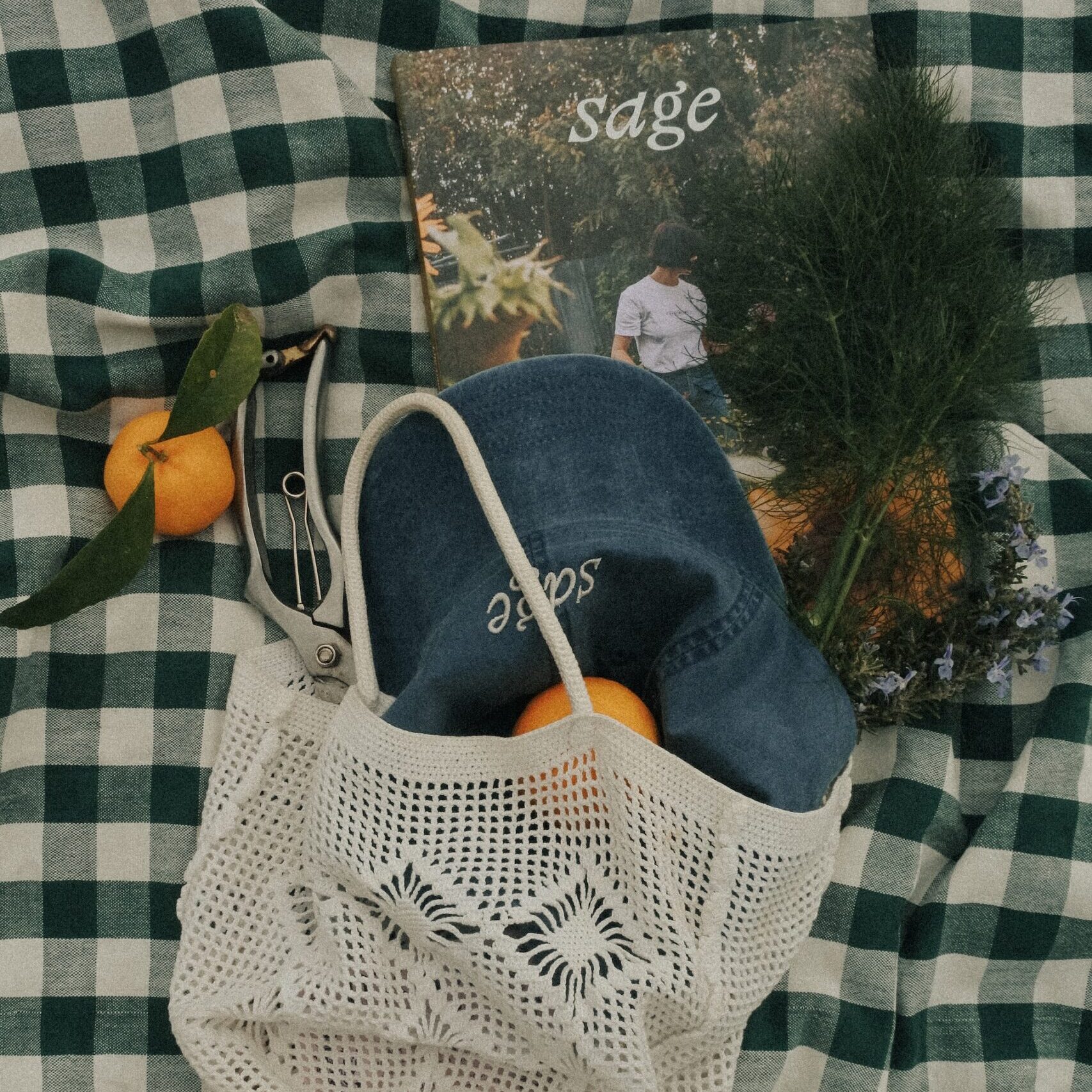 Sage Journal cap