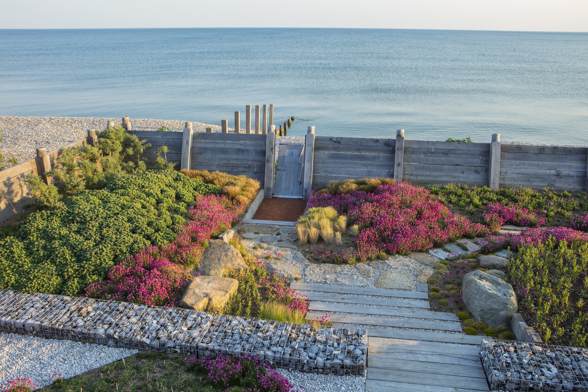 Seaside boardwalk surrounded by bright coastal flowers