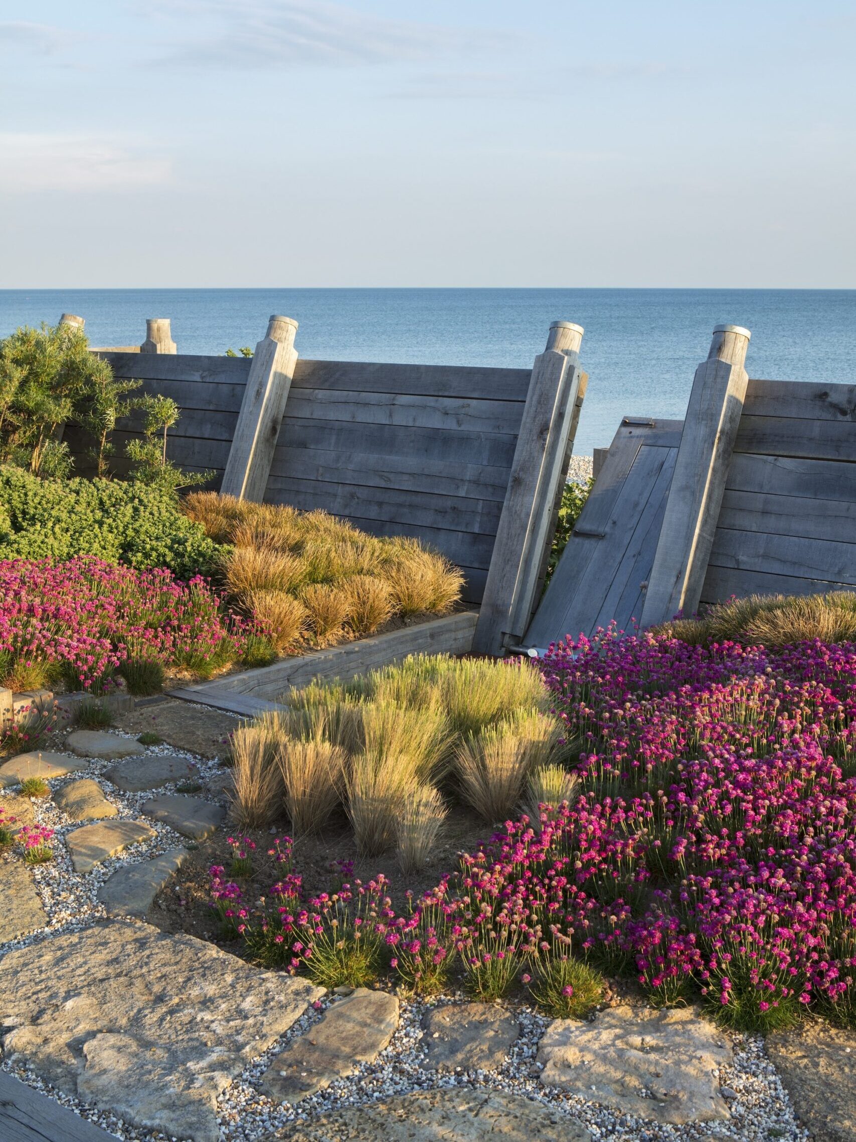 Raised flower bed with pink and purple blooms on coast
