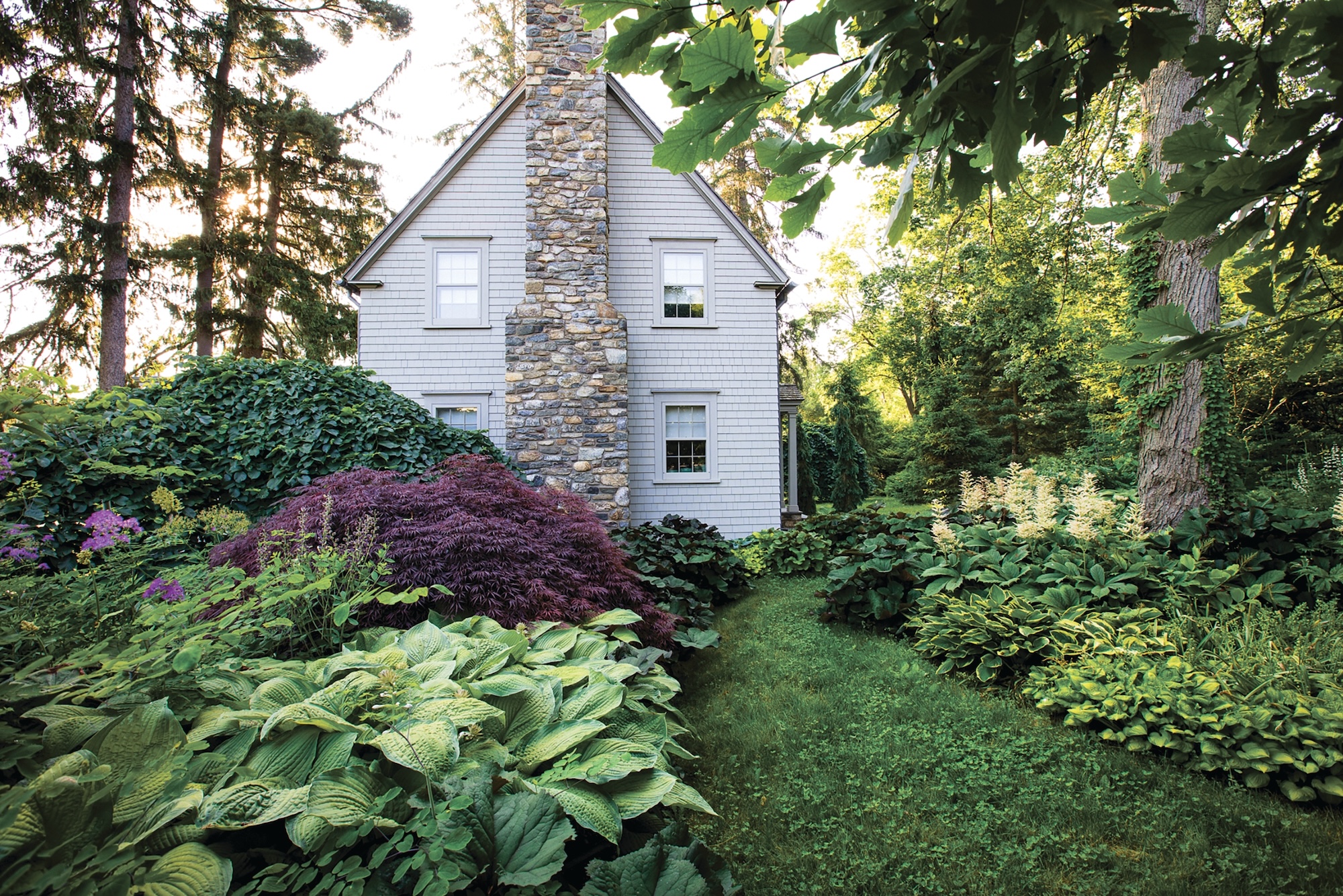 Stone cottage surrounded by dense greenery and shaded garden plants