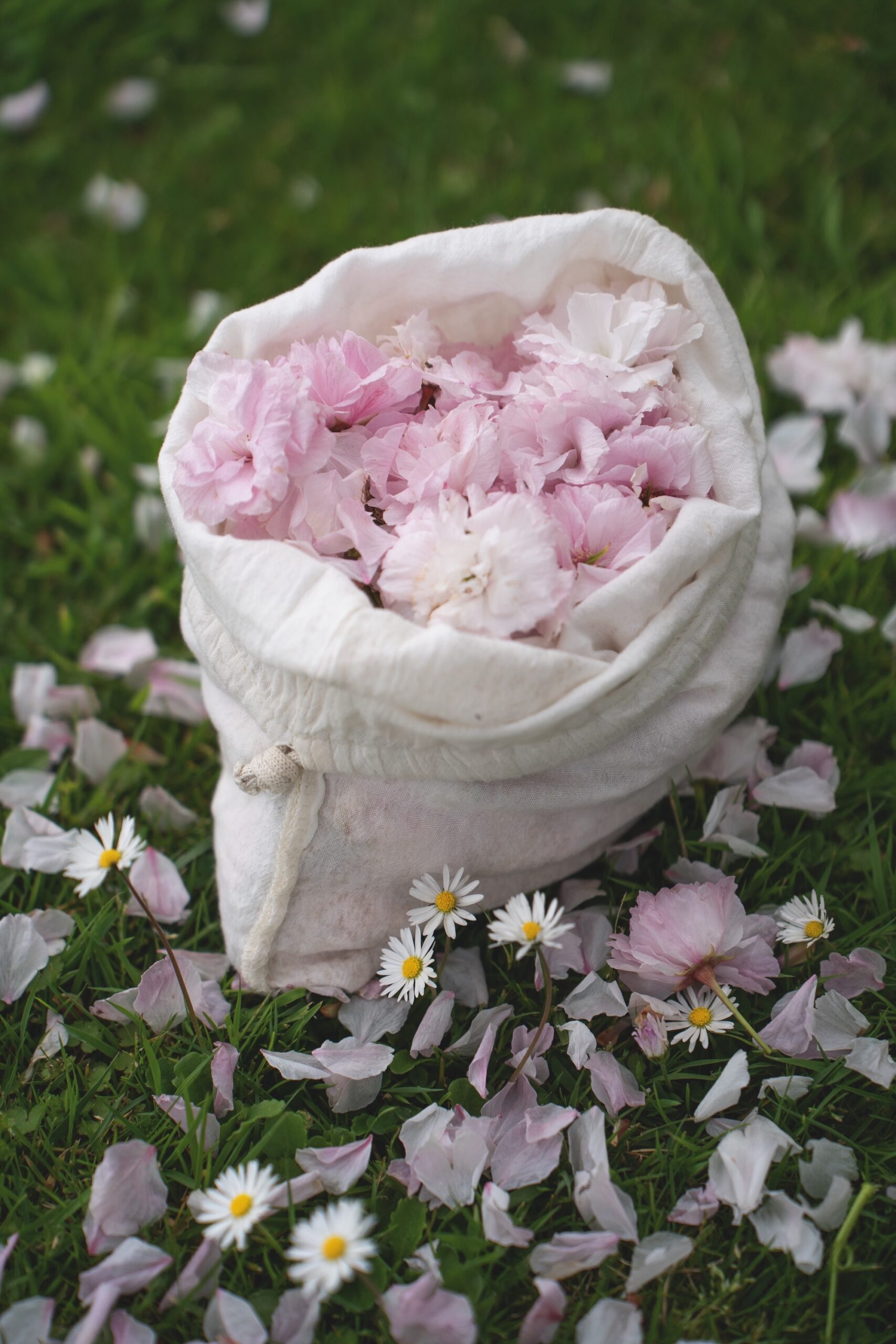 Spring images Sophie Merkens -0886