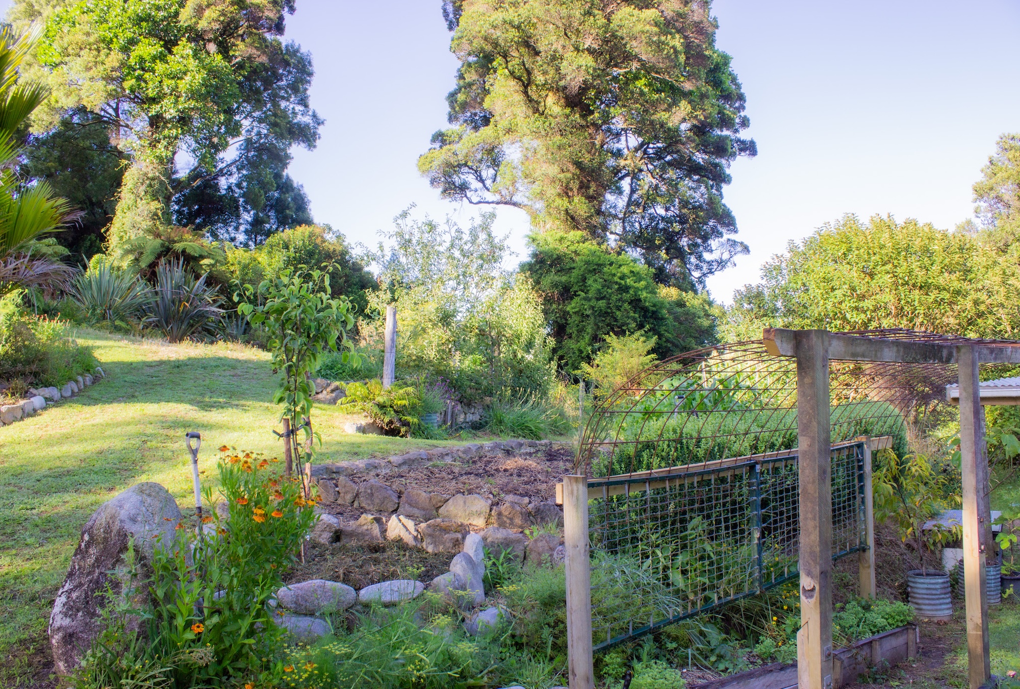 bottom terrace in bush J
