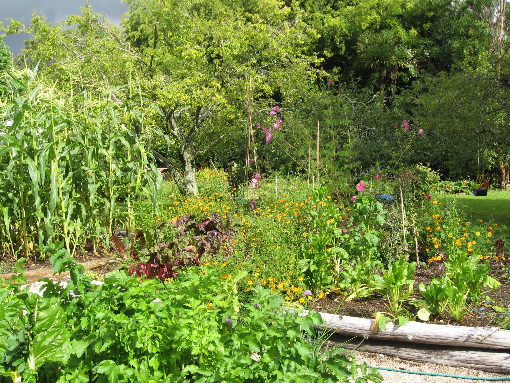 A vibrant backyard filled with a mix of vegetables, fruit trees, and flowering plants.