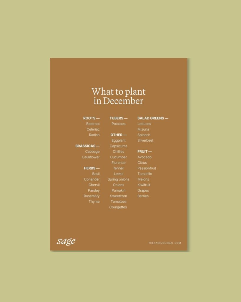 What to plant in summer | FREE Summer Gardening Guide