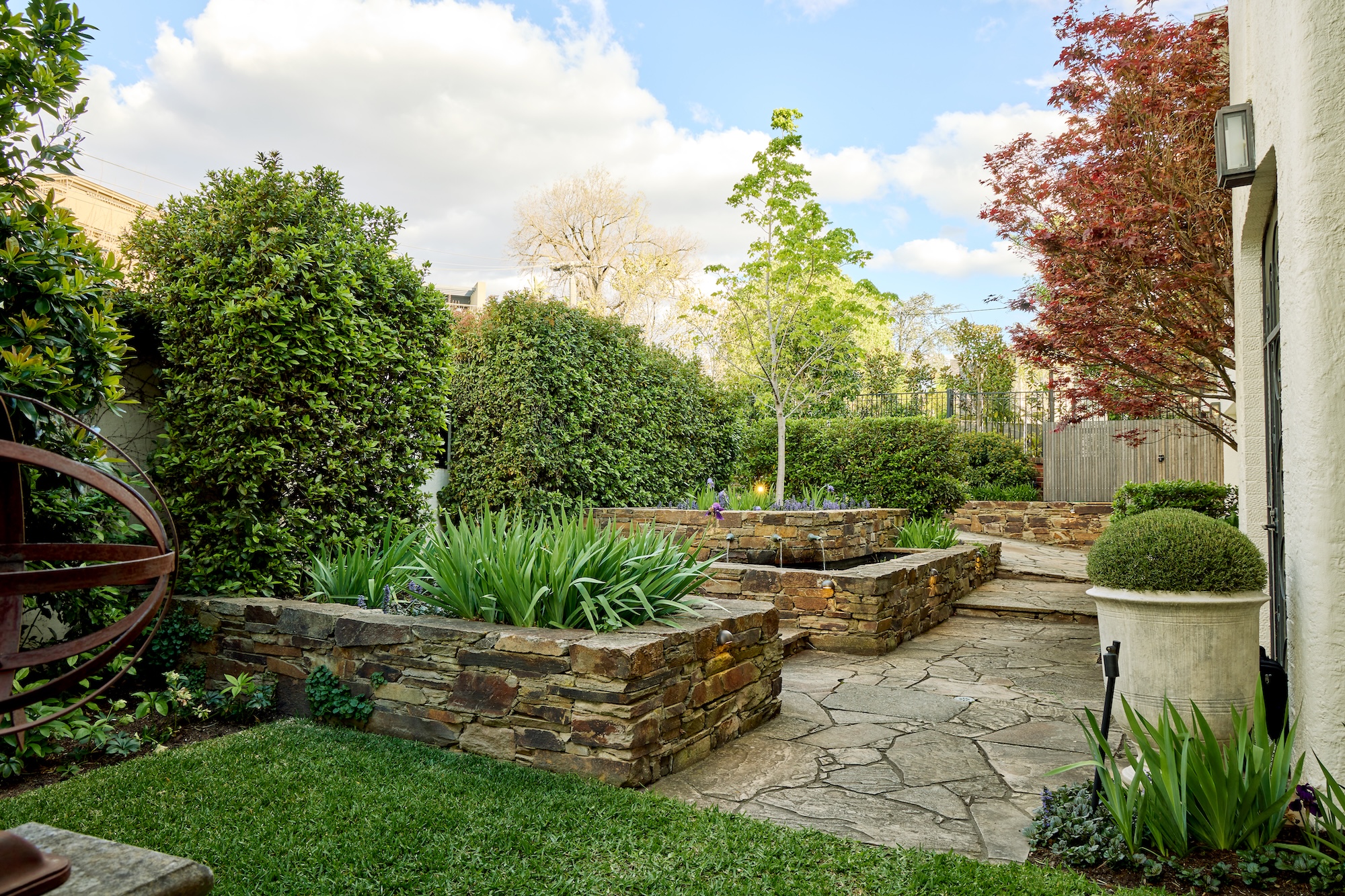 Mature tree anchoring layered landscape design by Ian Barker Gardens.