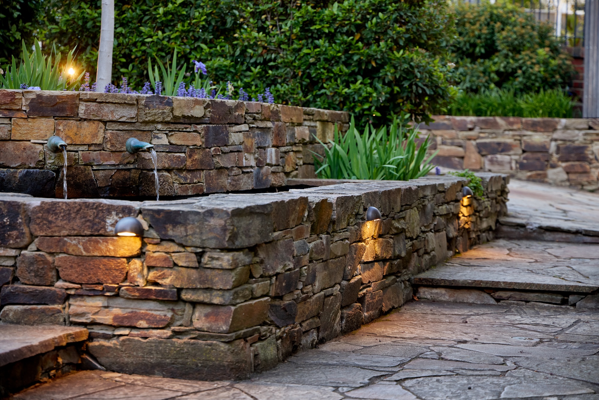 Structured landscaping with integrated lighting by Ian Barker Gardens.