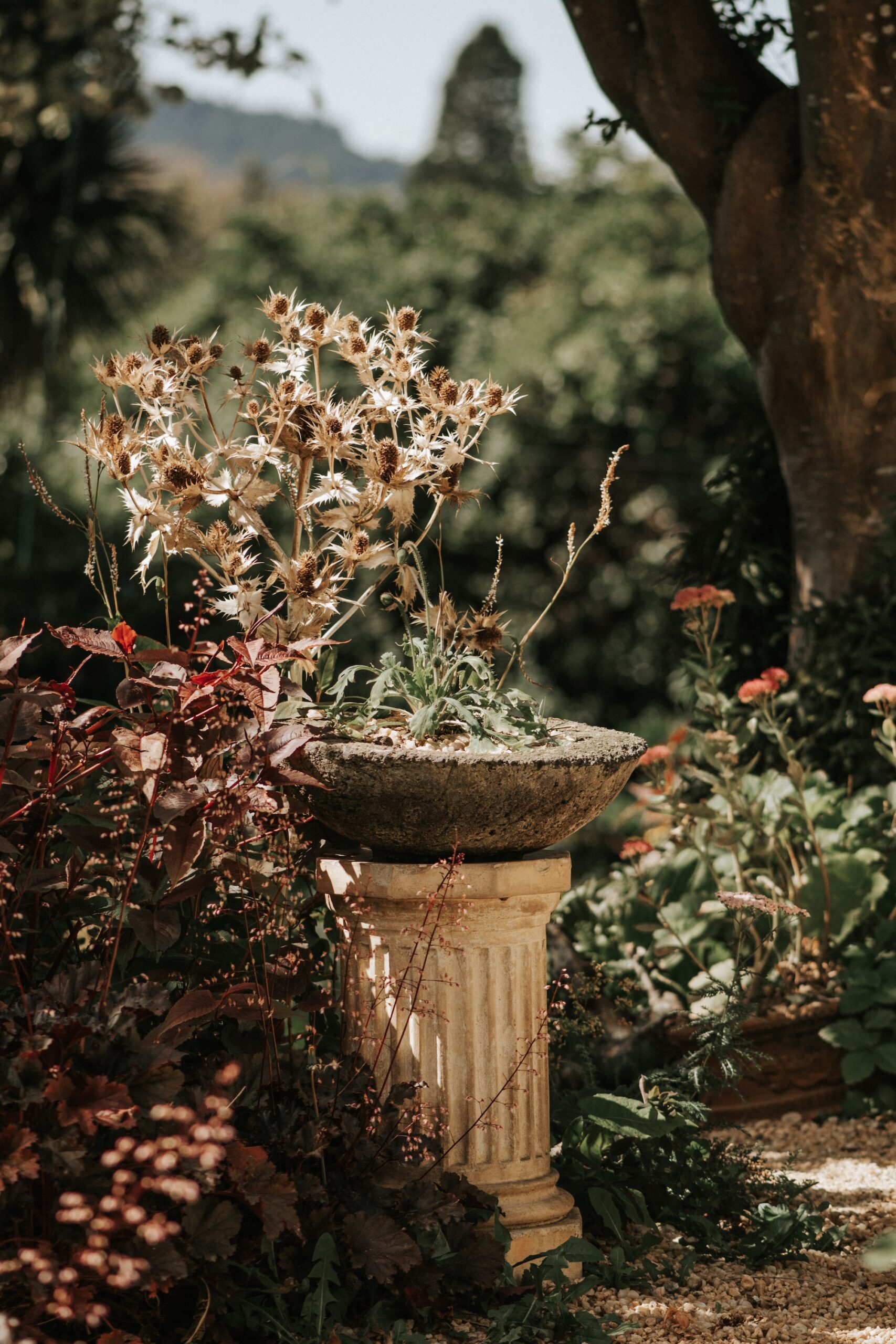 Aged stone urn displaying dried floral stems in a woodland garden.