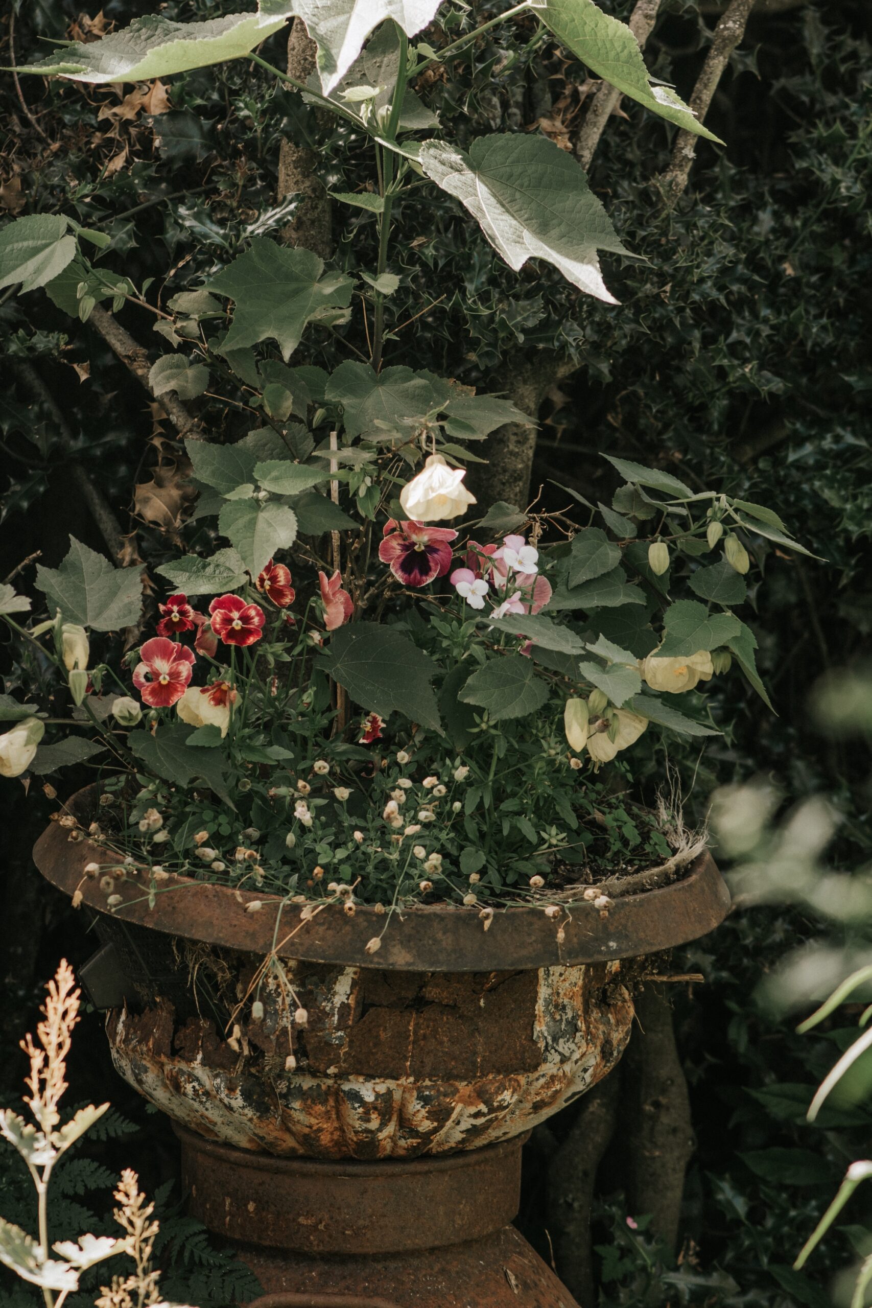 Stone urn containing seasonal flowers placed in a shaded garden corner.