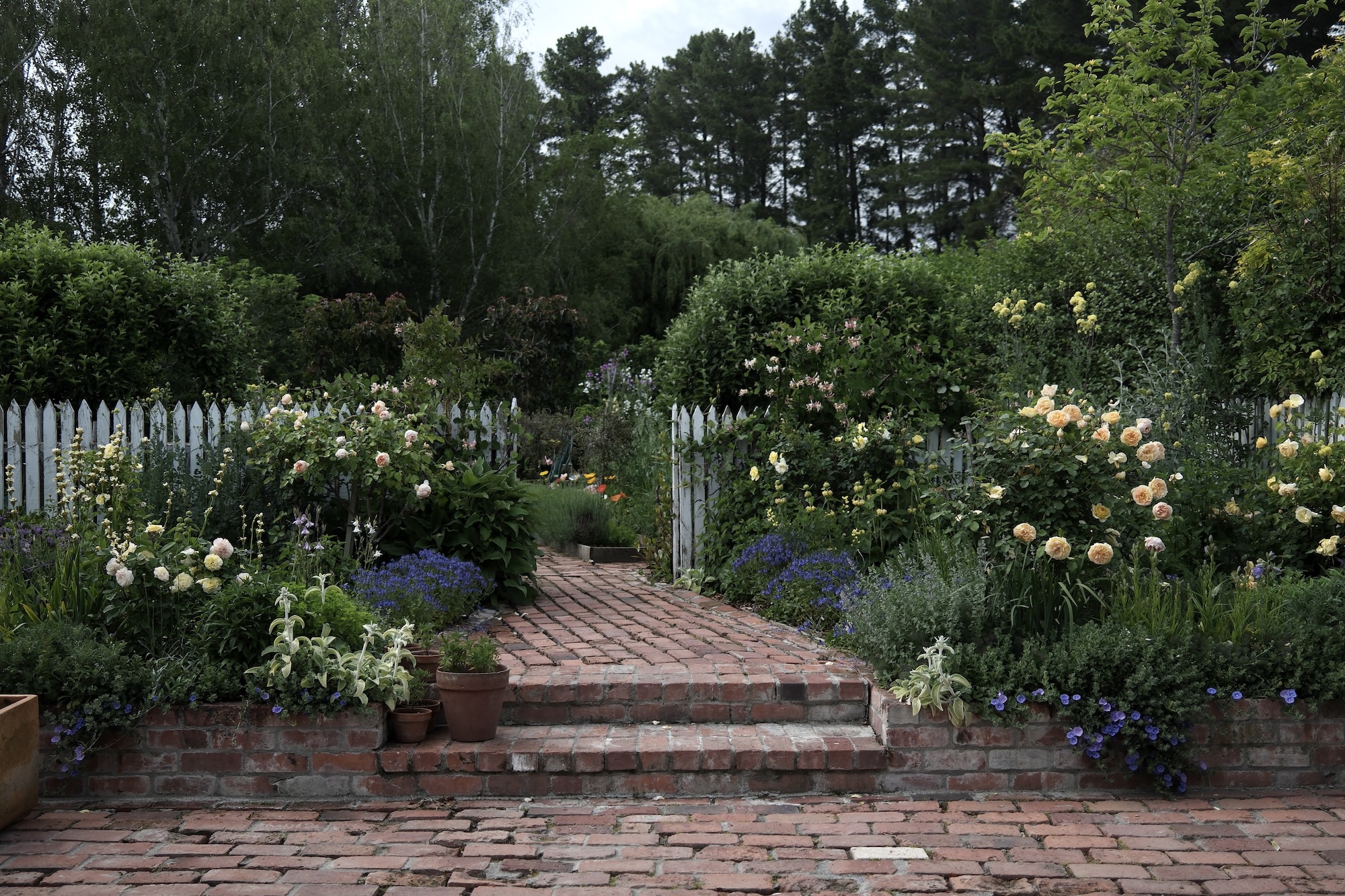 rick stairway leading through dense foliage and blossoming plants