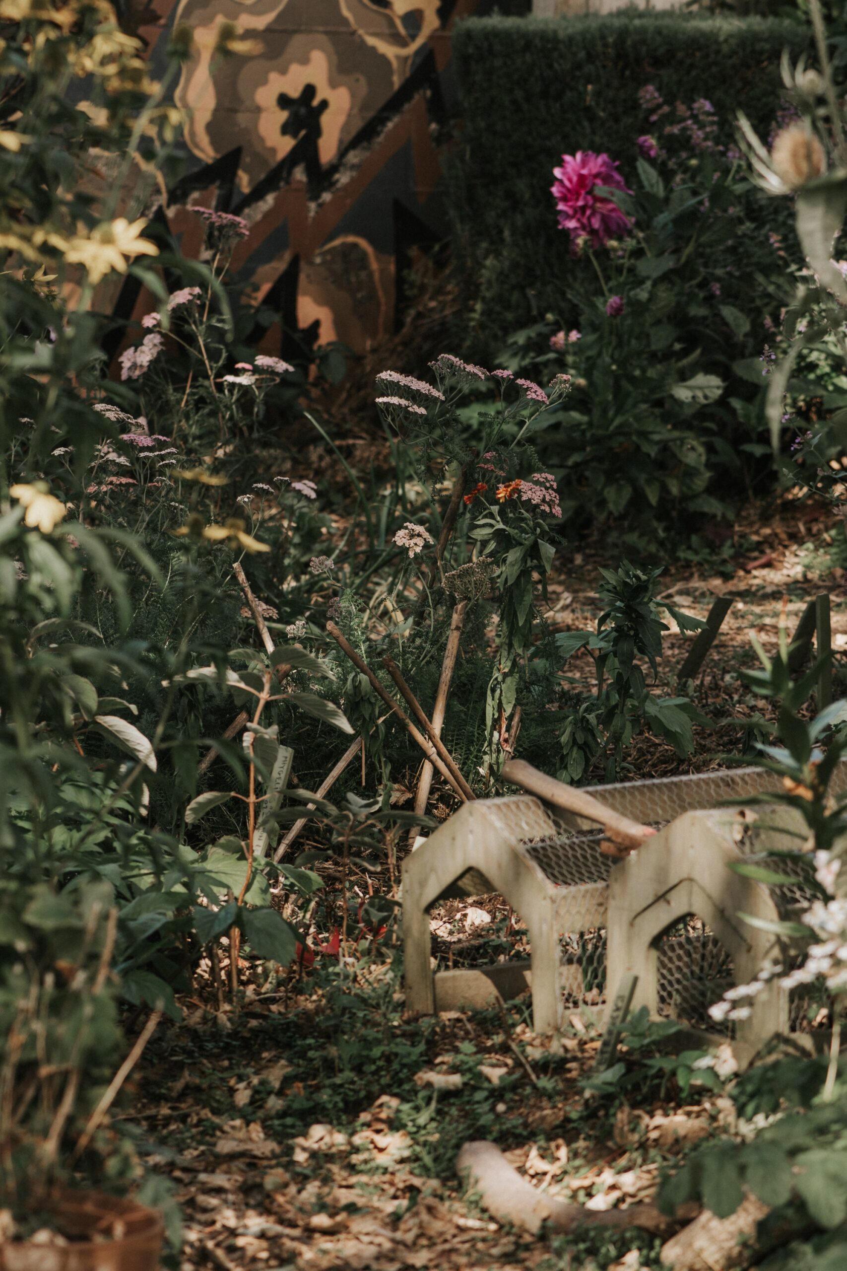Quiet garden corner with shrubs, climbers, and dense greenery.