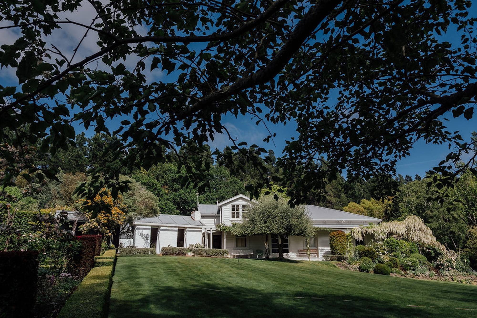 White heritage-style home set among manicured lawns and mature shrubs