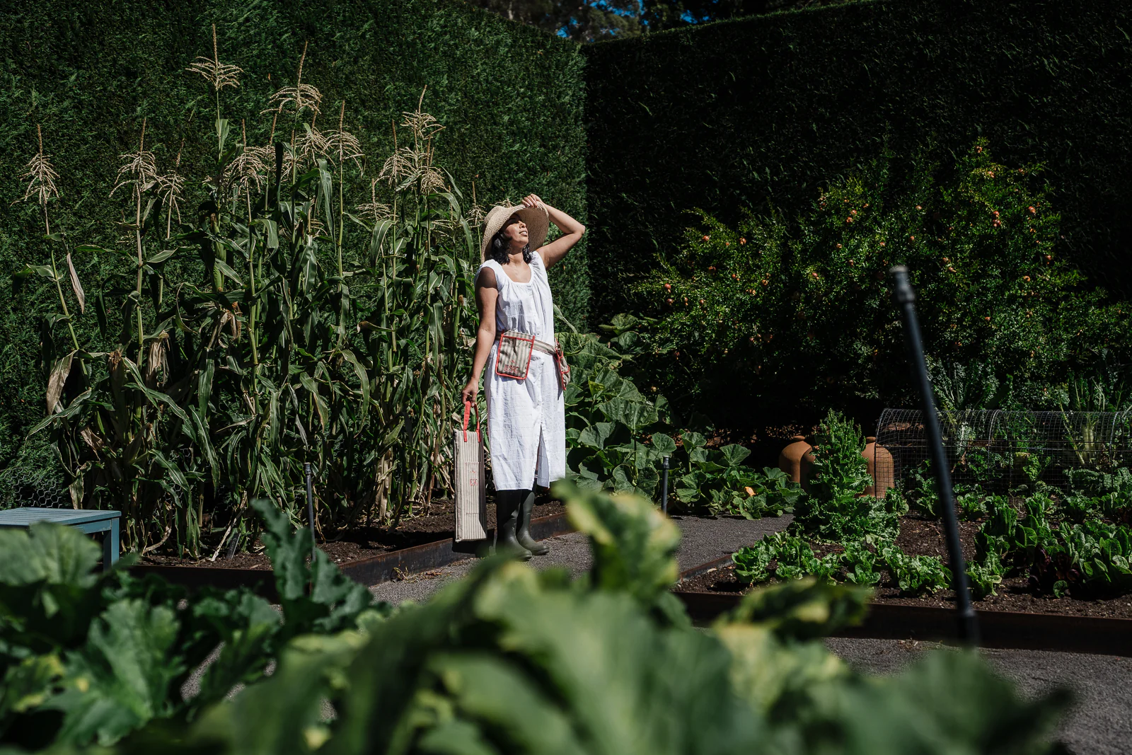 Gifts for gardeners – Sage Journal Gift Guide