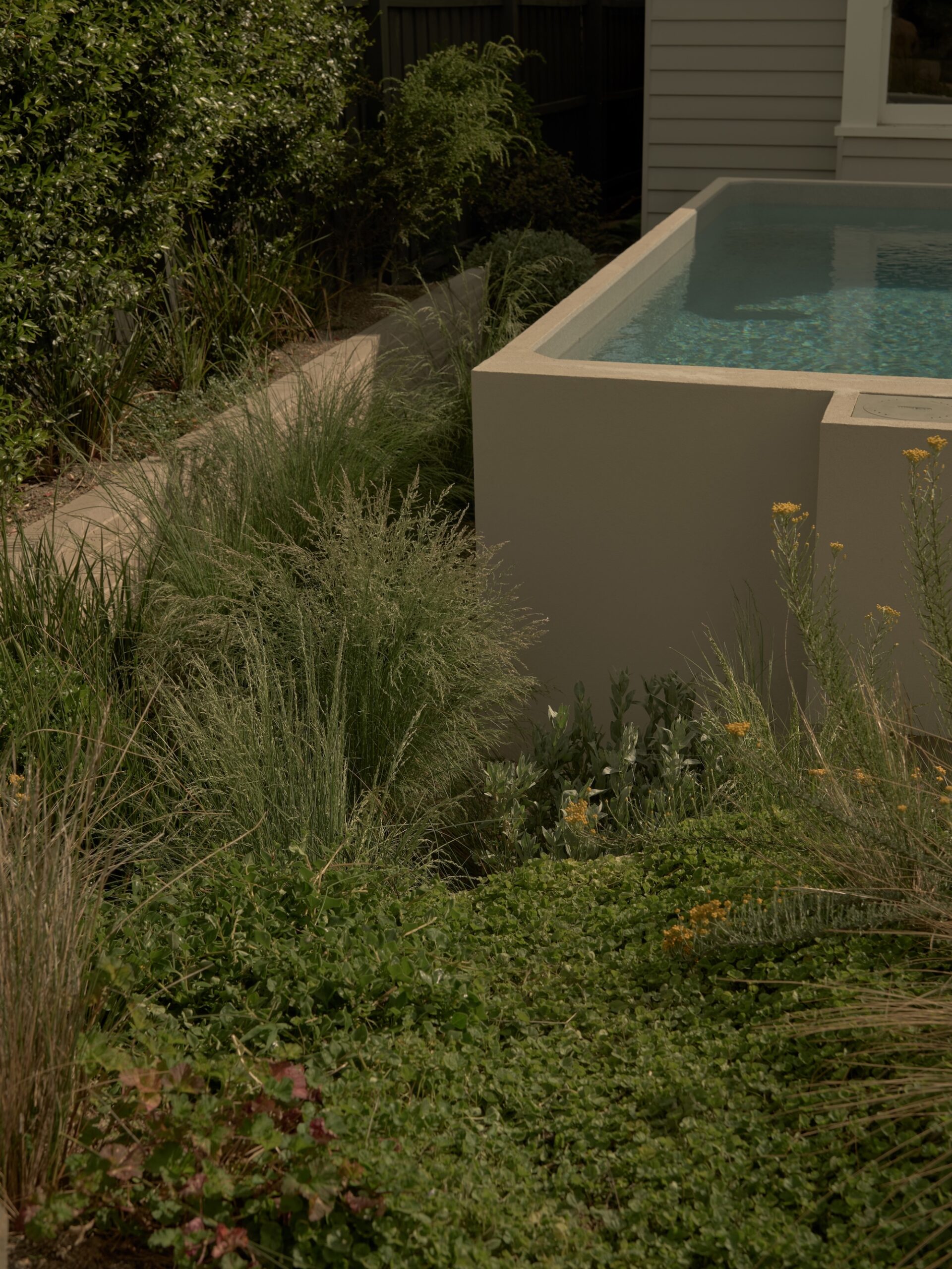 Phillip Withers, Geelong Garden Australia