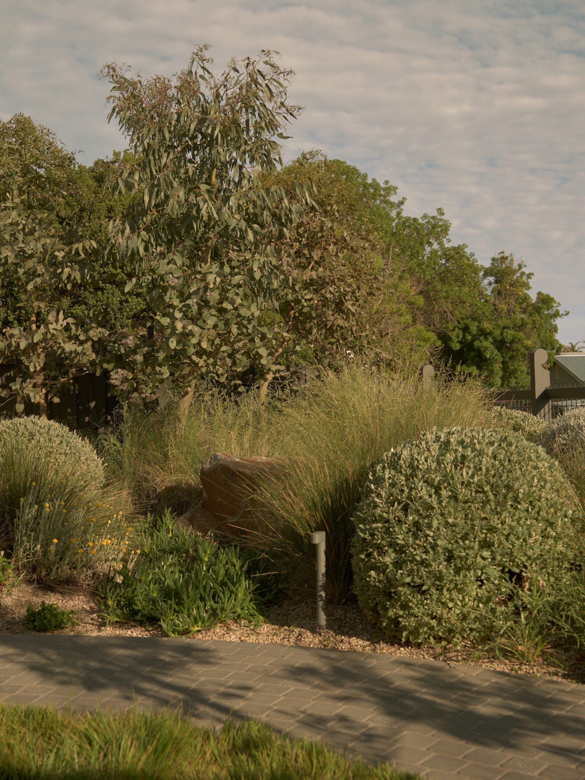 Balanced garden layout with structured planting and brick path in a Phillip Withers designed Geelong garden